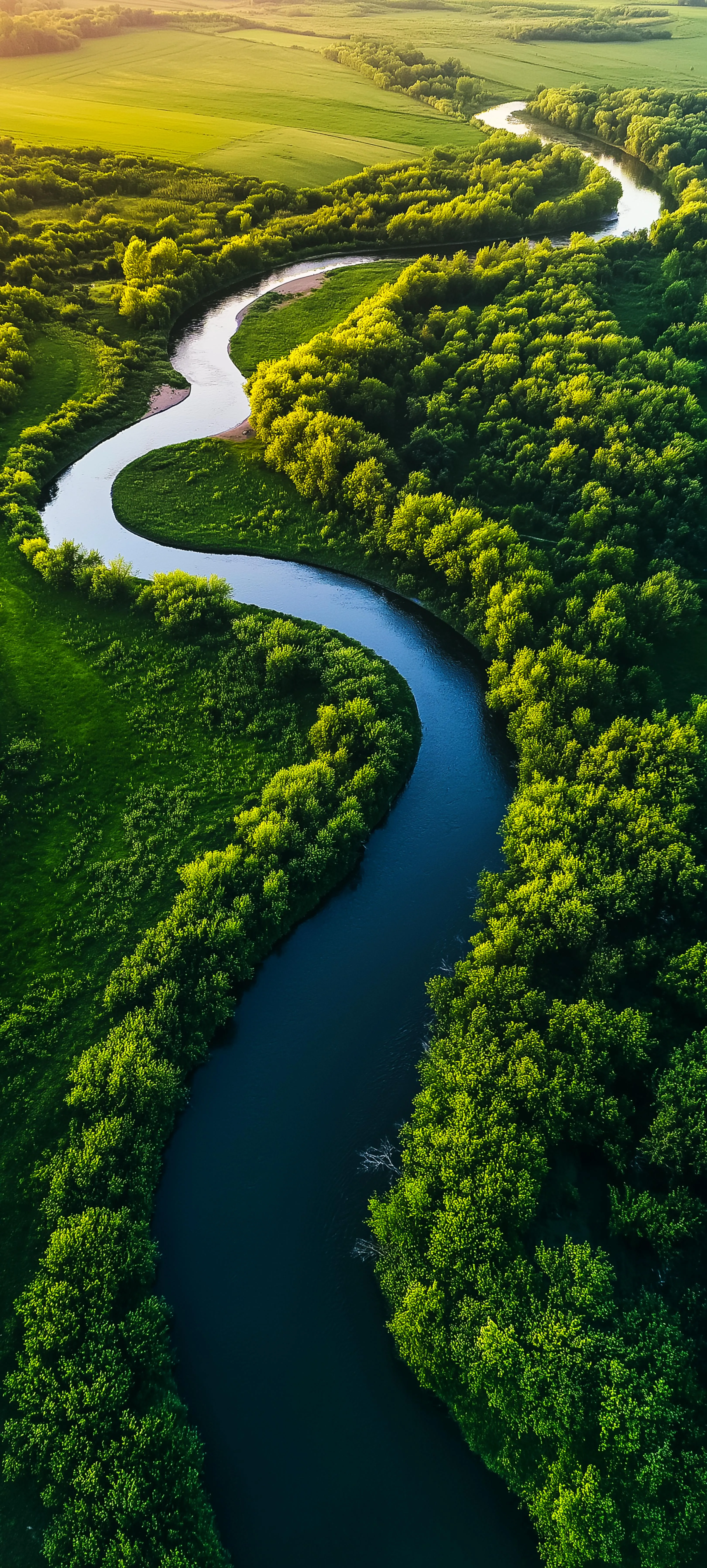 Winding River Flowing Through Dense Green Forest Landscape