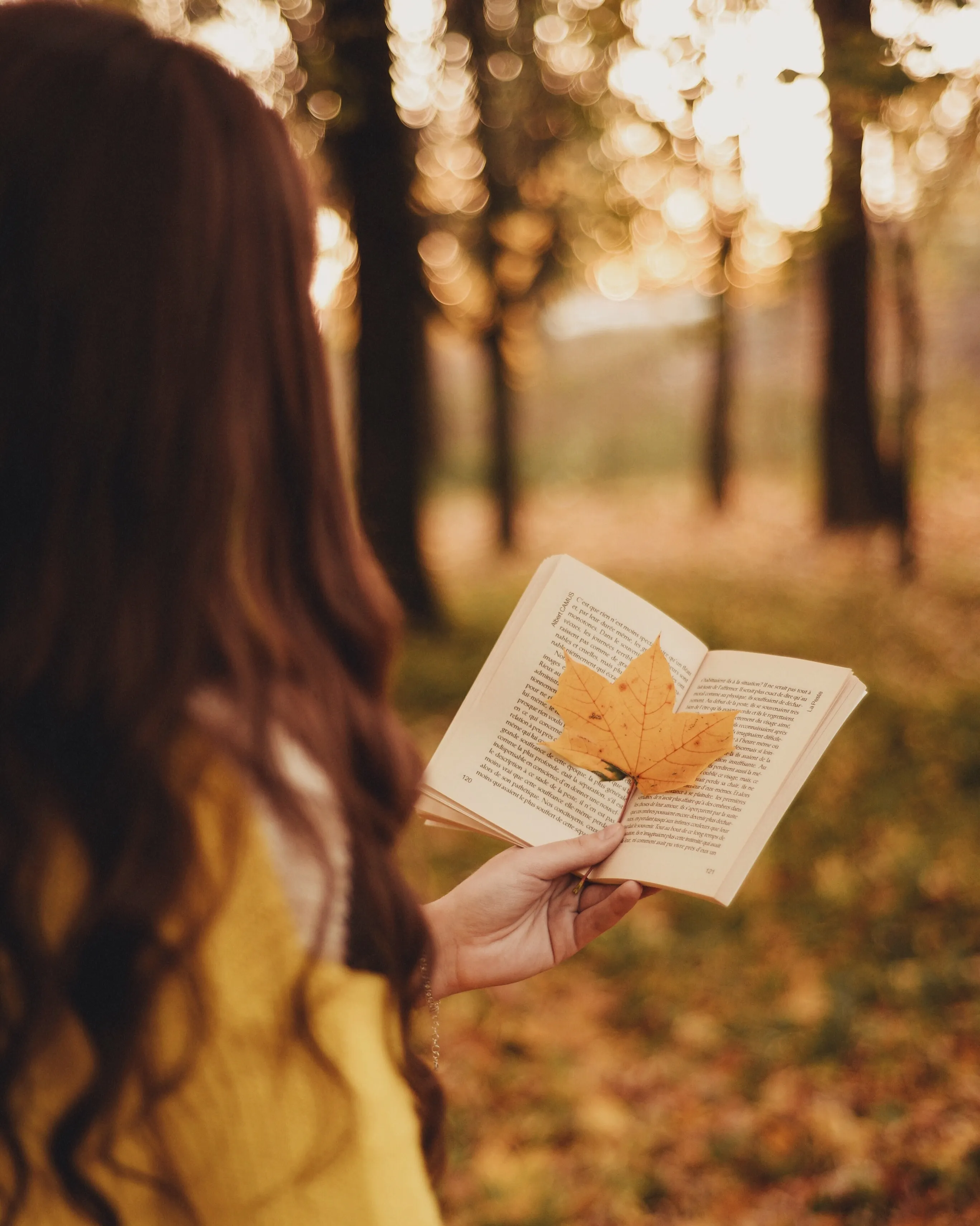 Woman Holding Autumn Leaf in Warm Golden Light Wallpaper