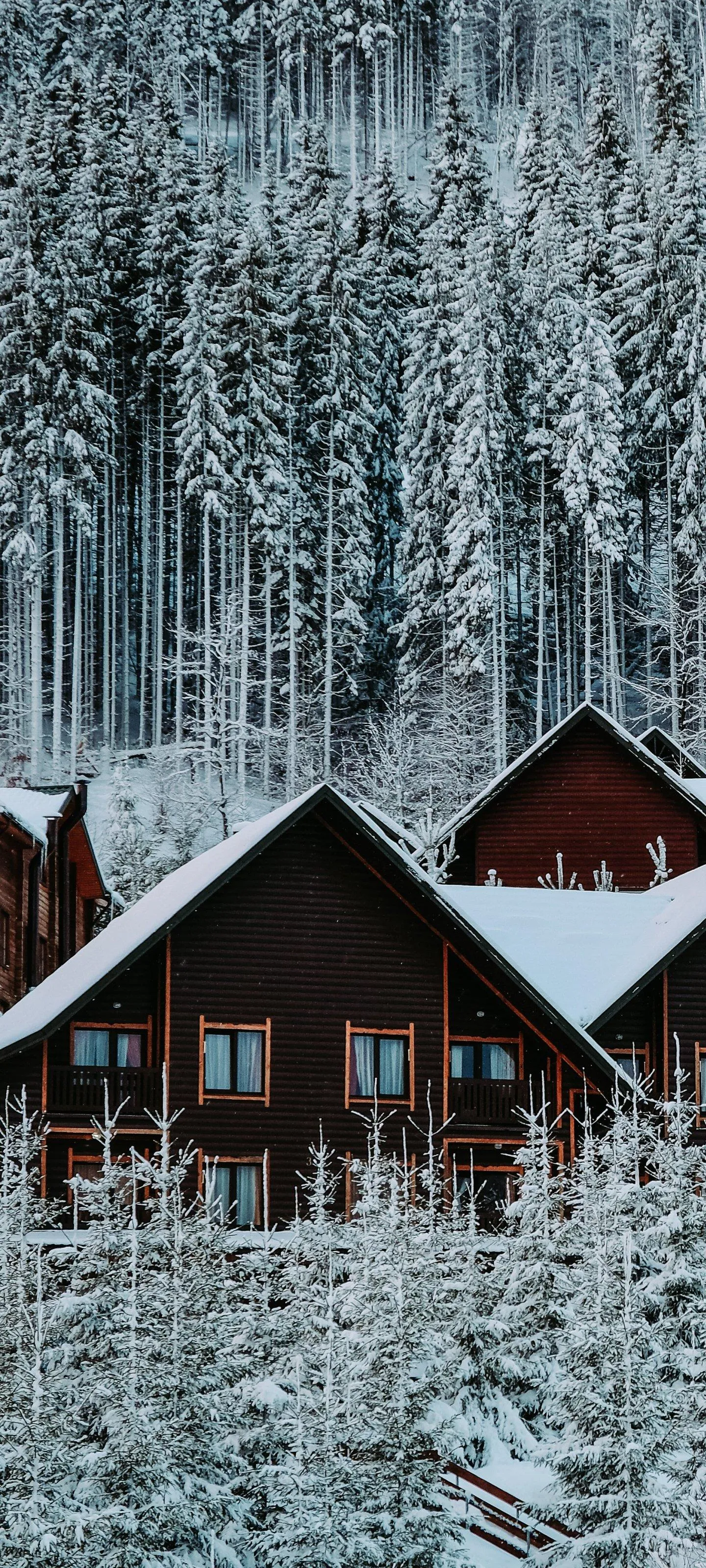 Wooden Cabins Surrounded by Snowy Pine Forest Landscape