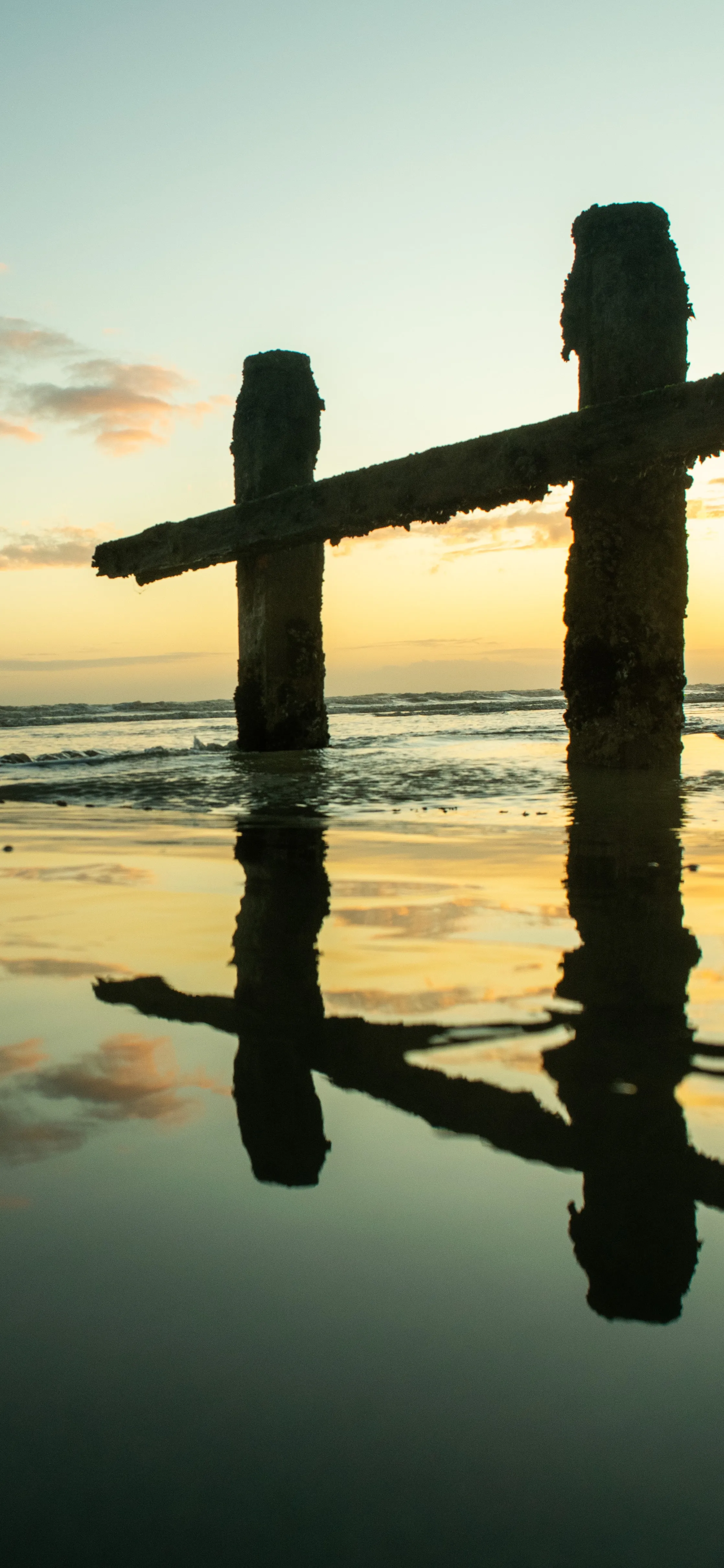 Wooden Posts Reflecting on Calm Water at Peaceful Lakeside