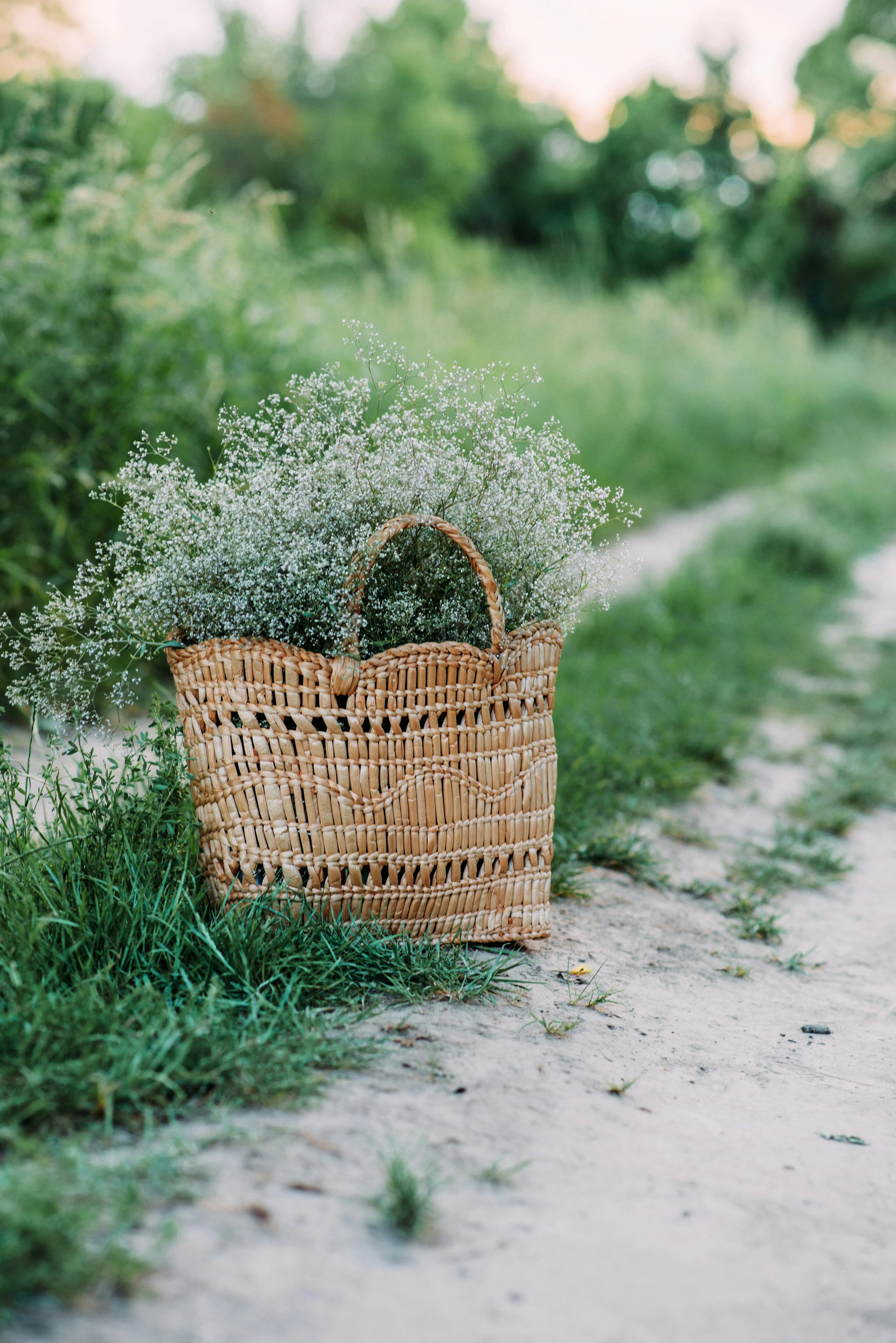 Woven Basket on Country Pathway with Greenery Wallpaper
