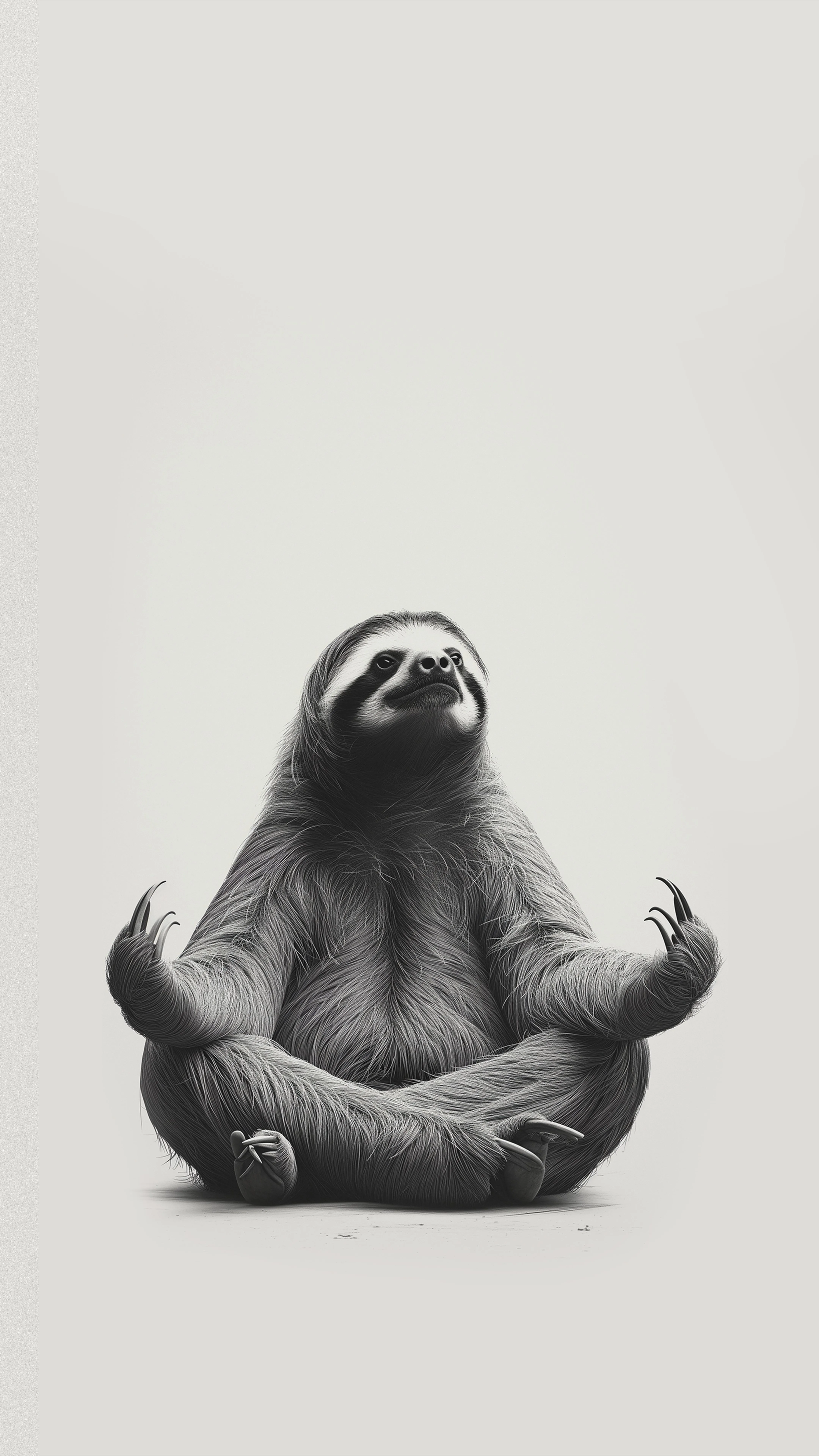 Zen Meditation Sloth in Black and White Minimal Art Wallpaper
