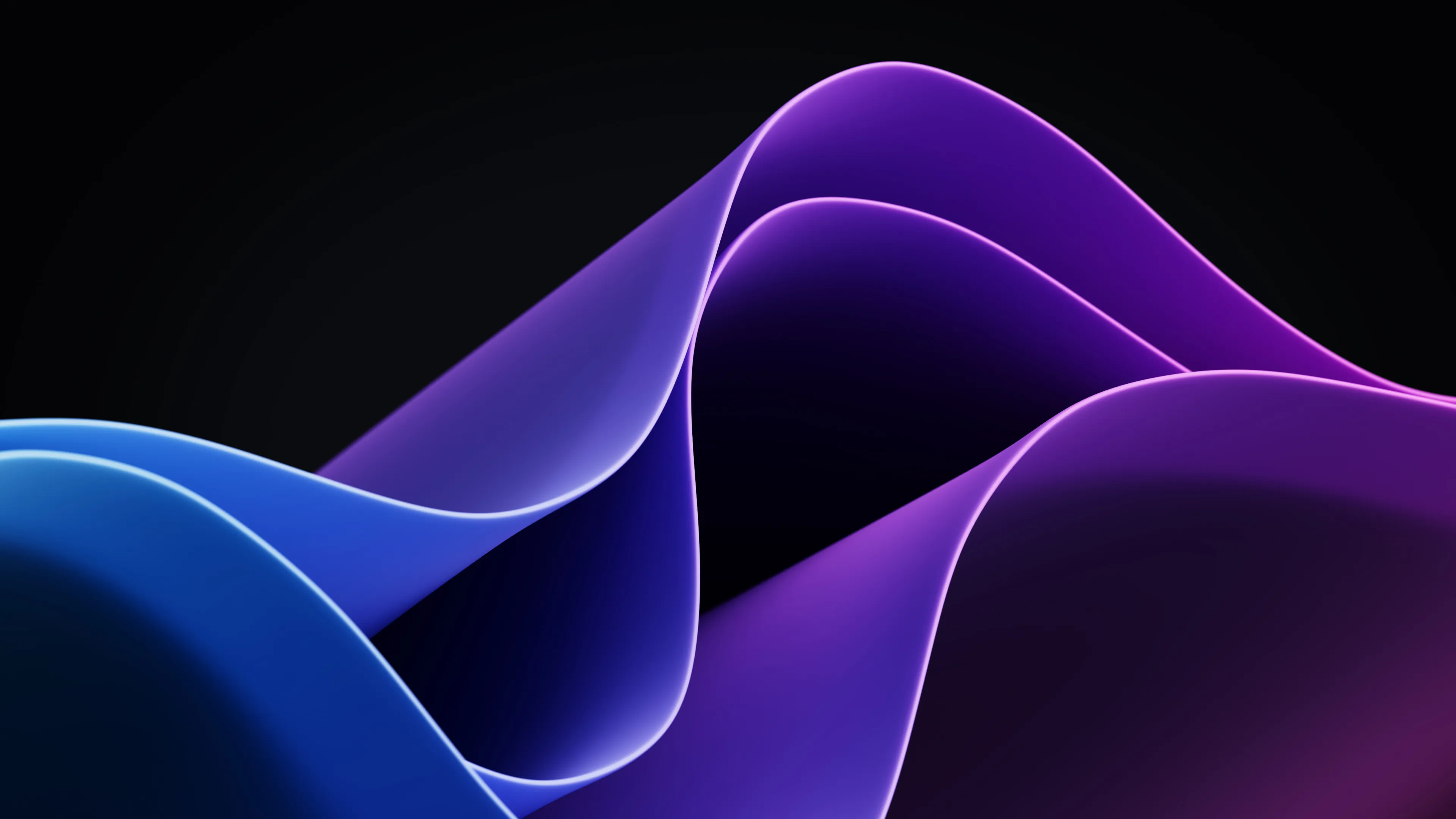 Abstract purple and blue wavy lines with black background