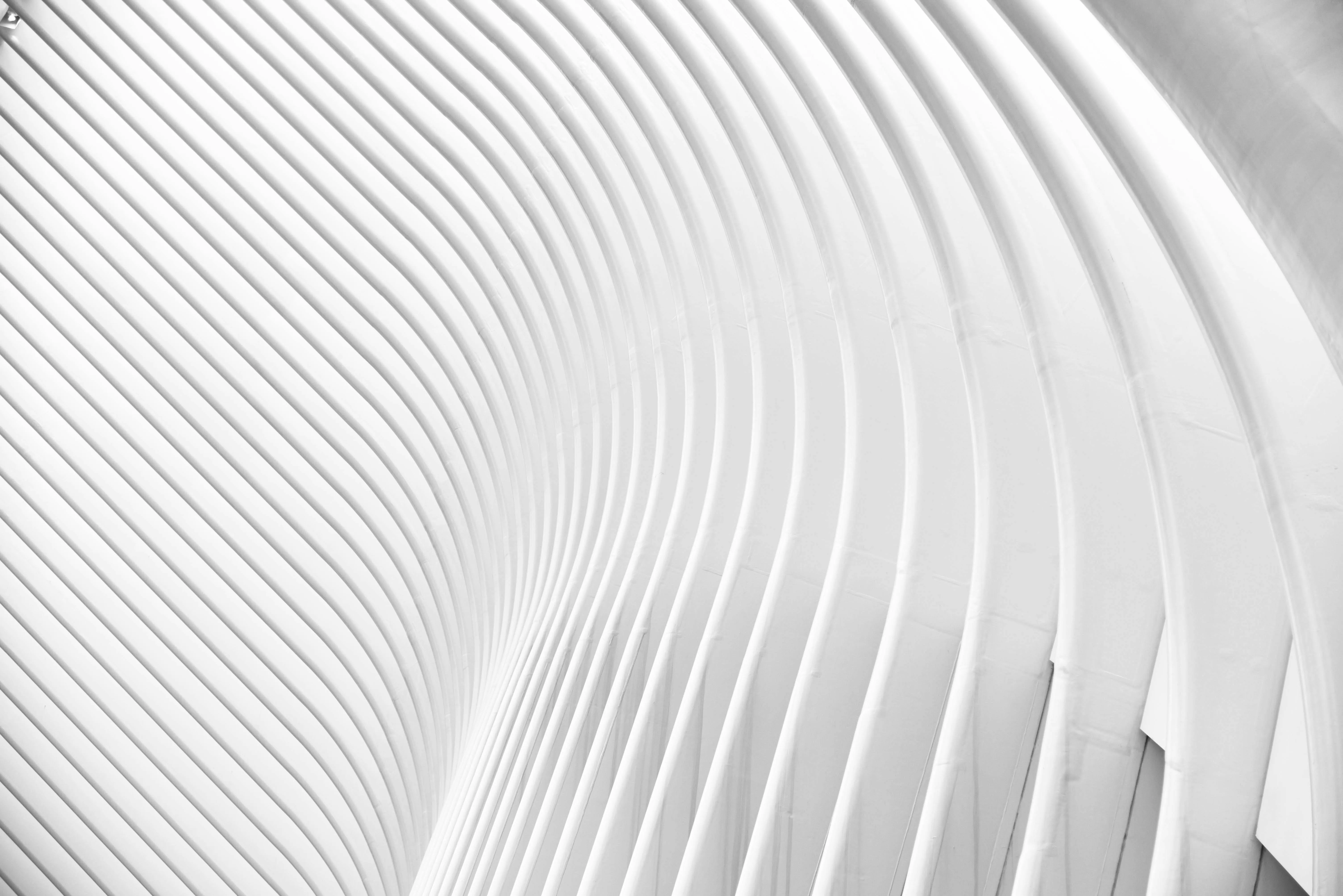 Abstract white architectural curves with clean design image