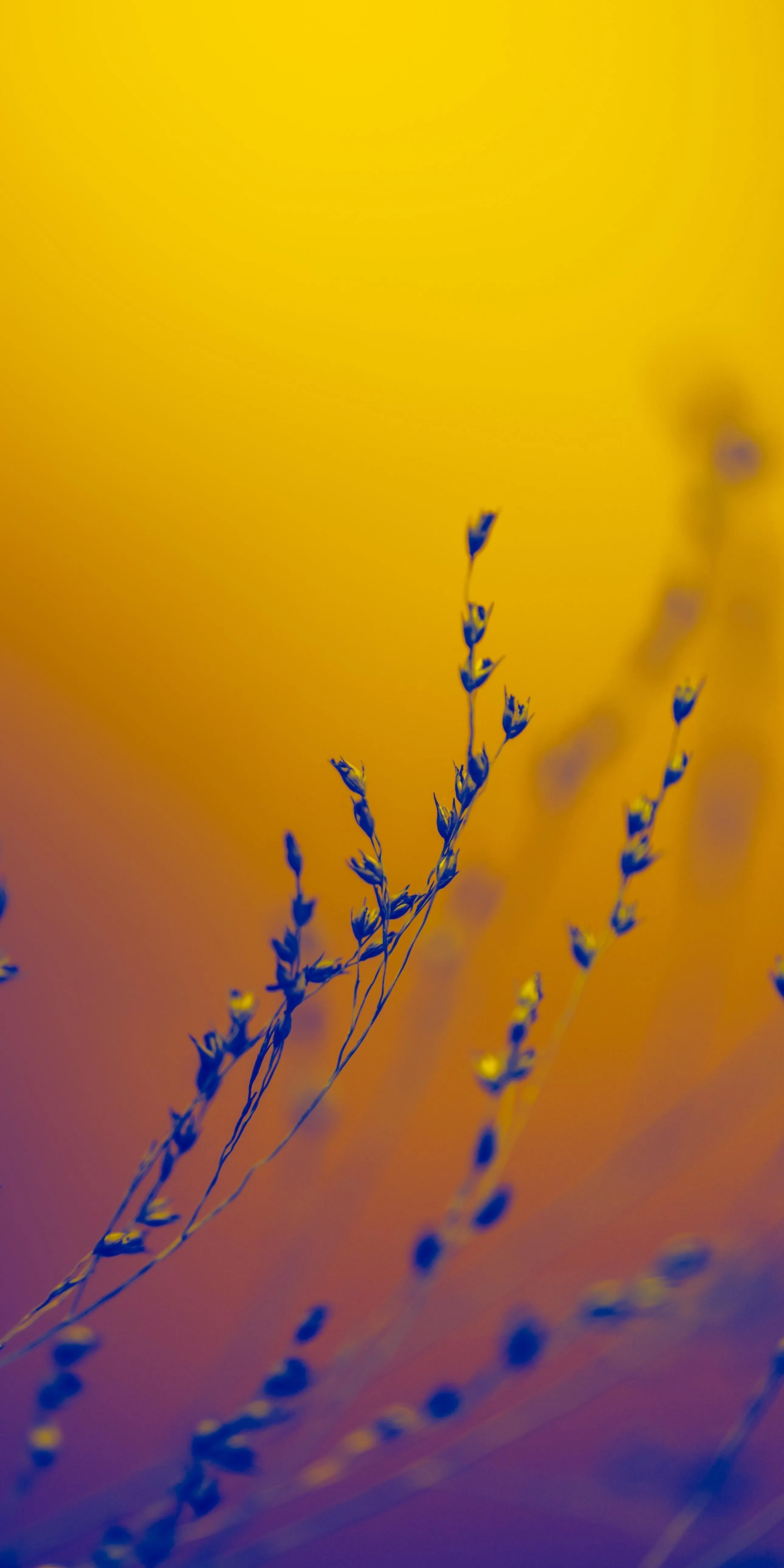 Abstract Yellow Background with Floating Purple Shapes