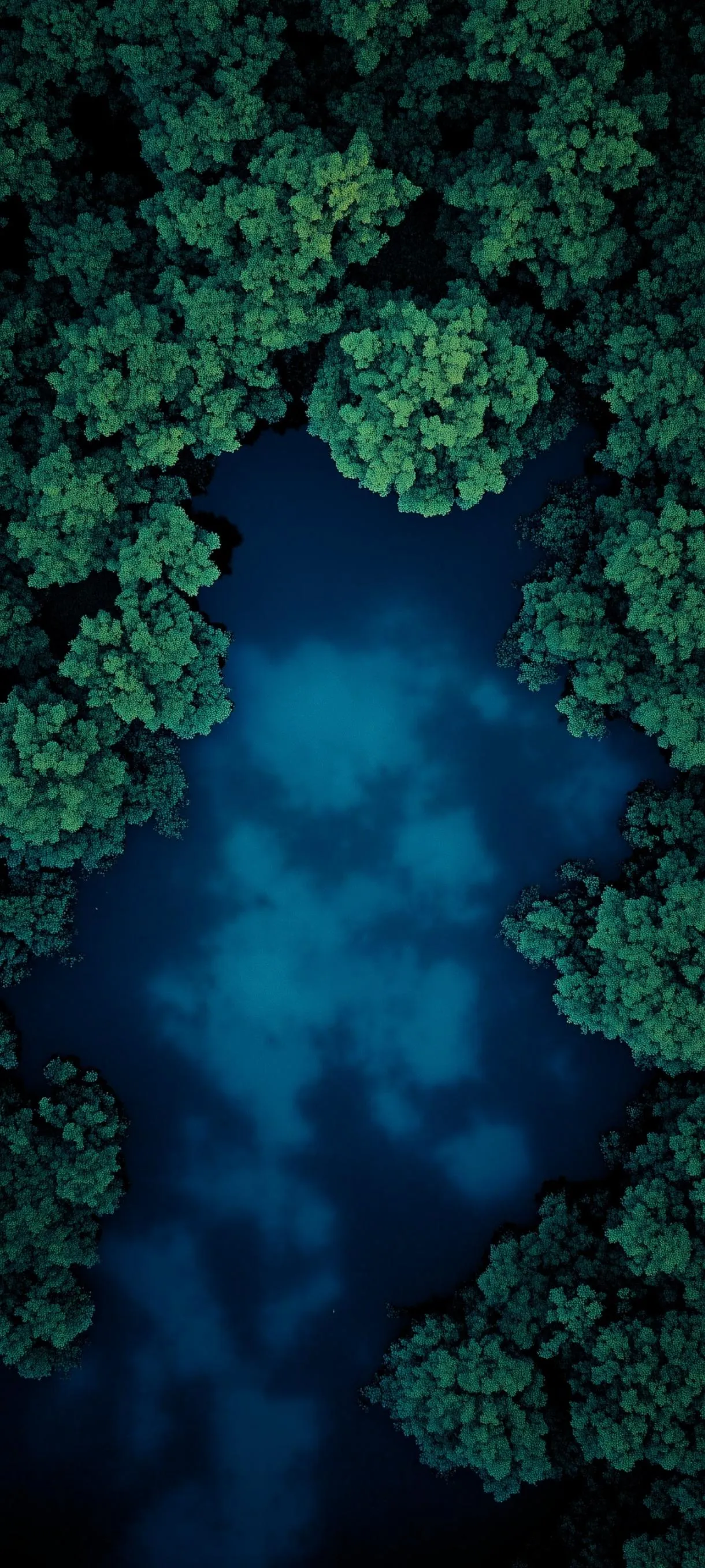 Aerial View of River Flowing Through Green Forest Wallpaper
