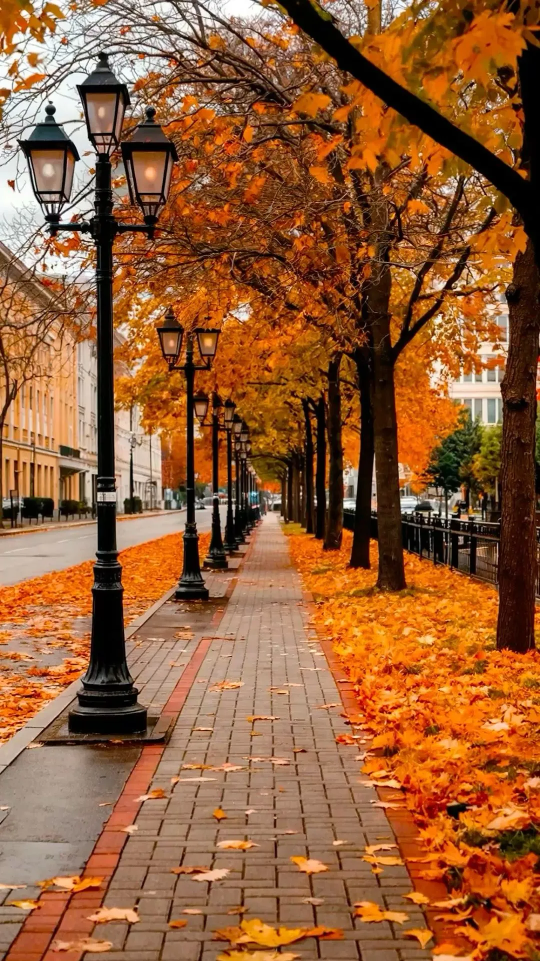 Autumn Street Scene with Orange Leaves and Lamp Posts