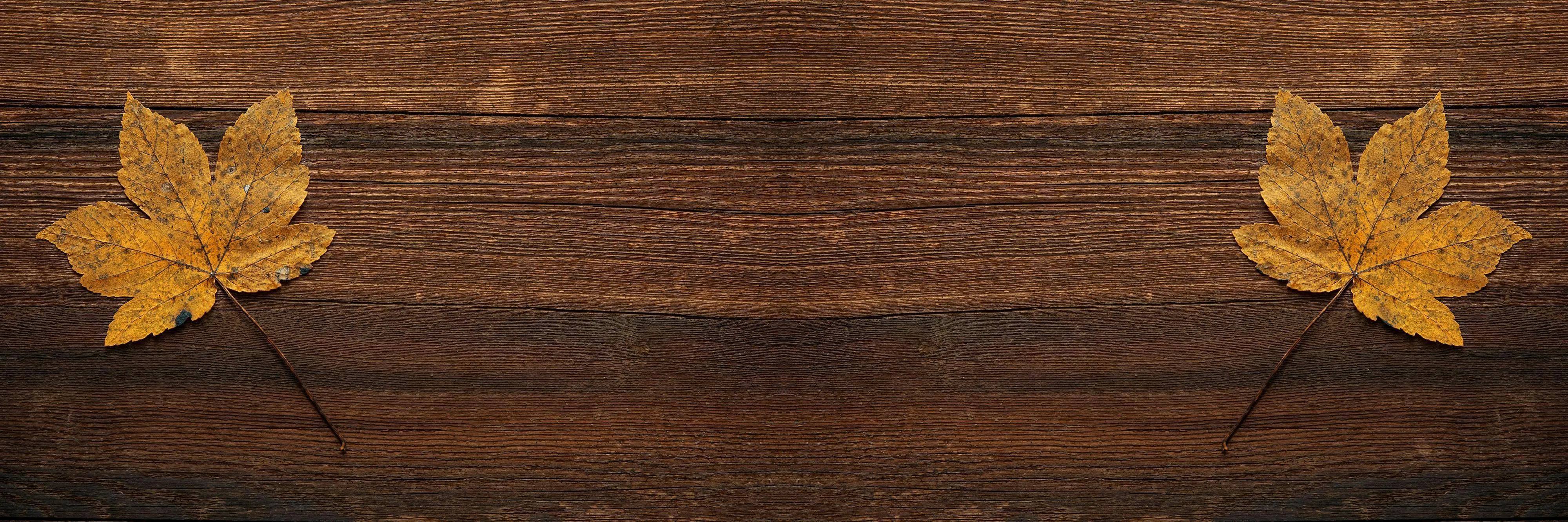 Autumn wooden floor background with yellow maple leaves