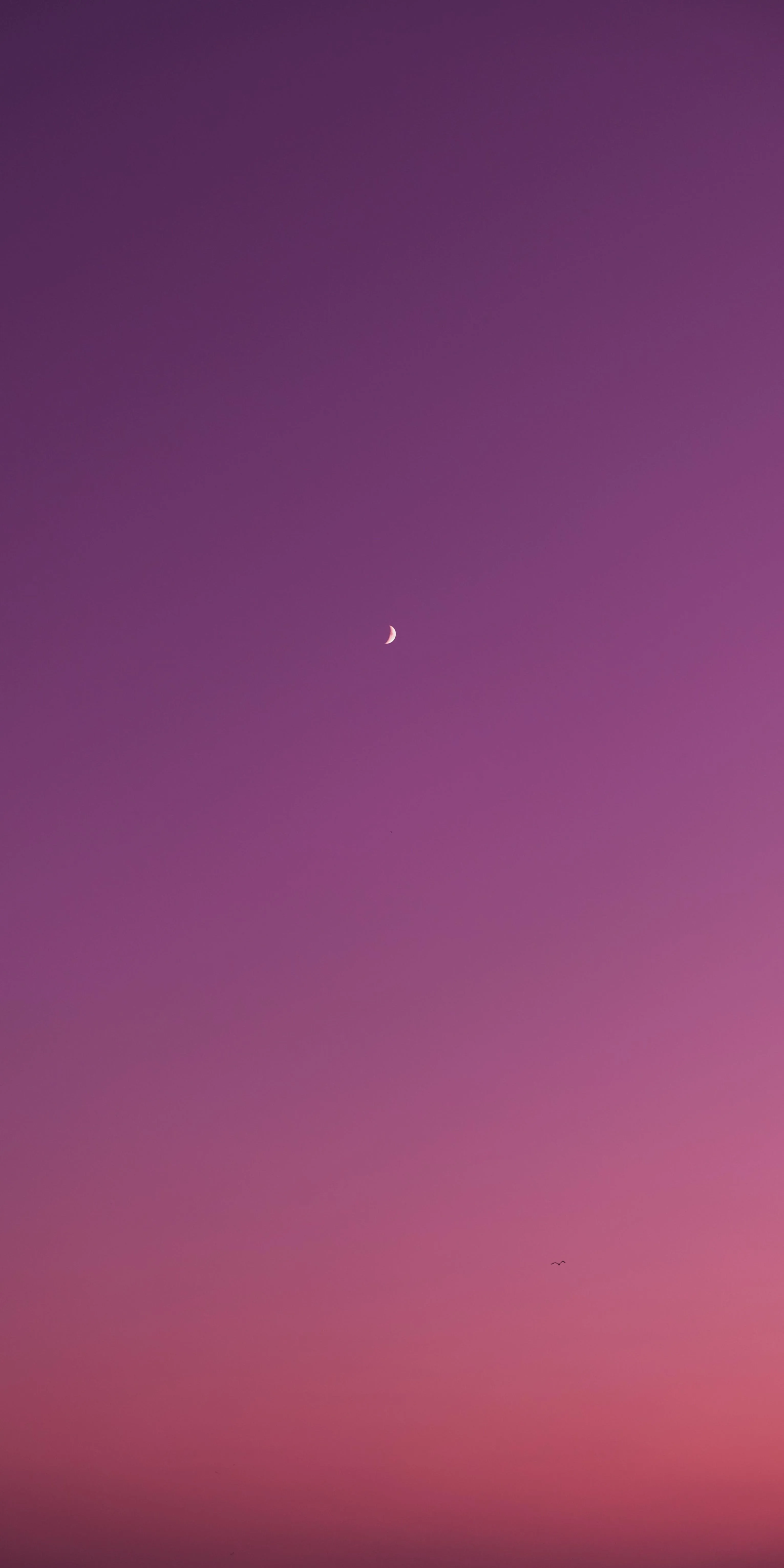Beautiful Purple Sunset Sky with Creasant Moon Wallpaper