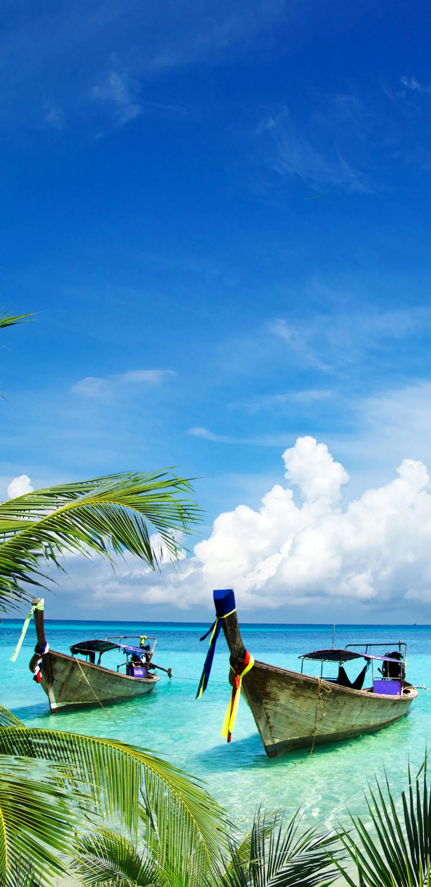 Beautiful Tropical Beach with Palm Trees and Clear Blue Sky