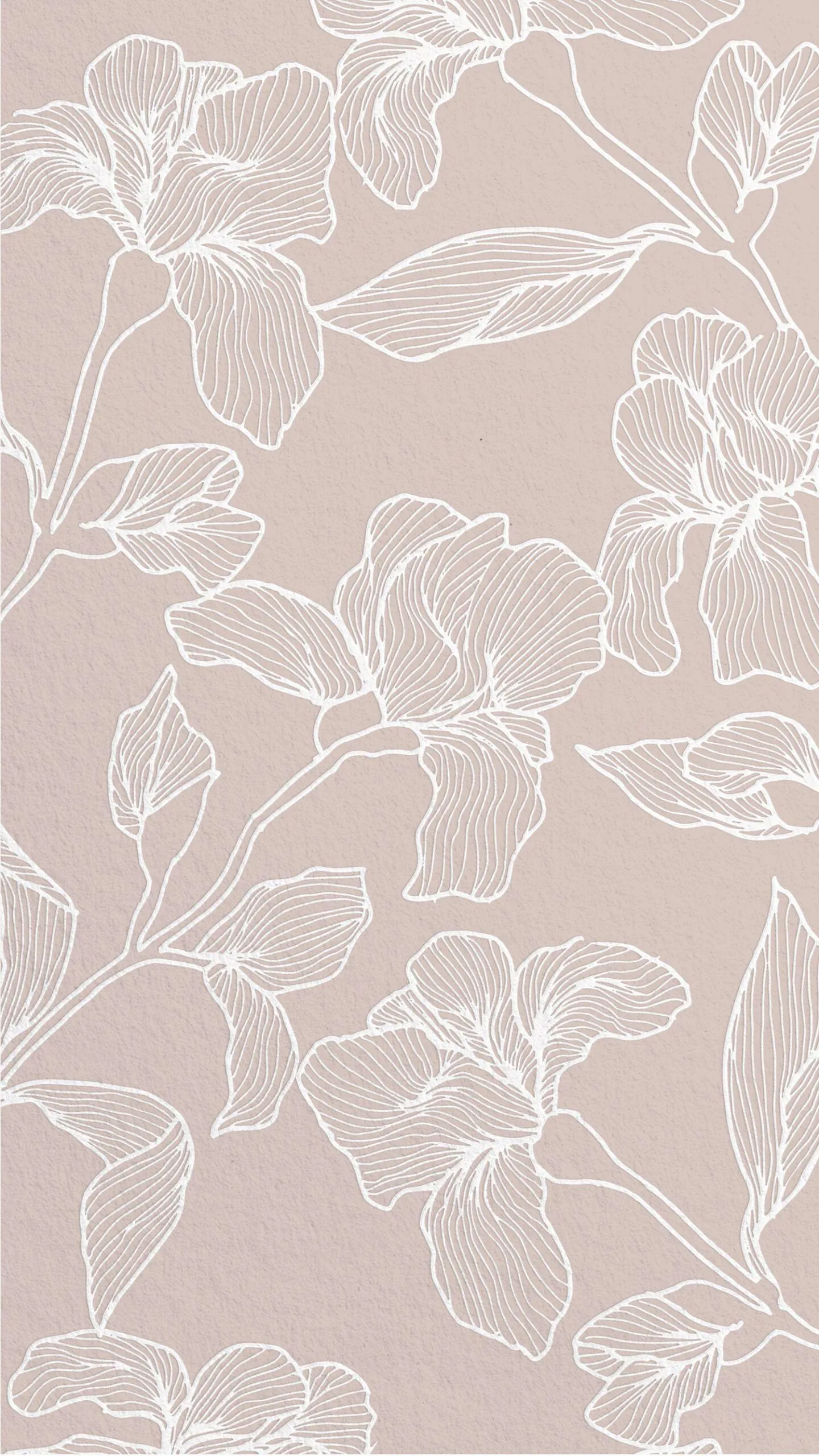 Beige background with elegant white floral outlines image