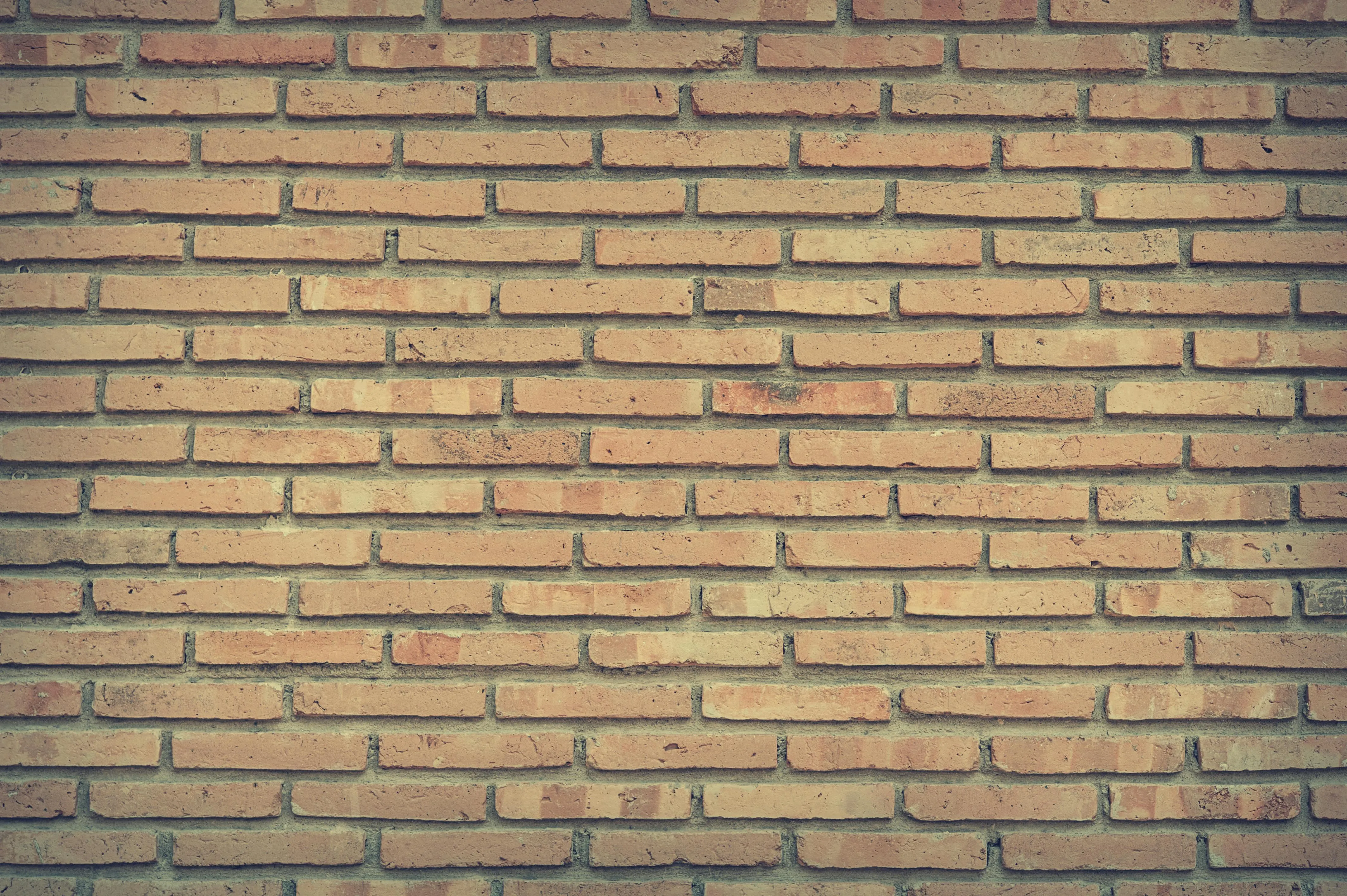 Beige brick wall texture in natural light free Wallpaper