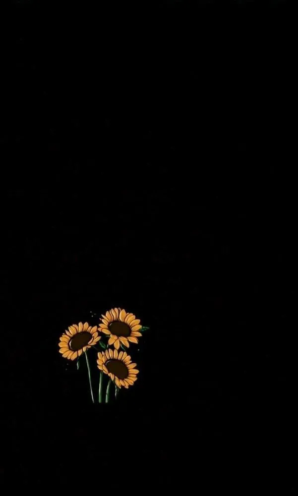 Black background with small yellow flowers at the bottom