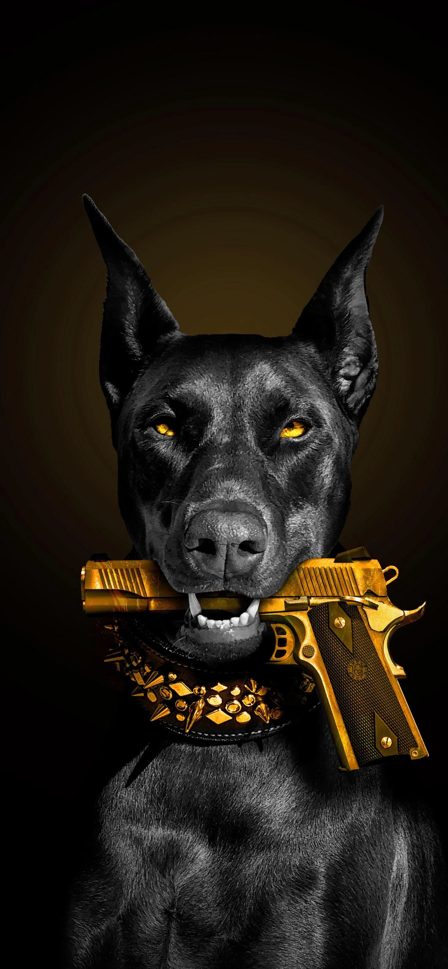 Black Doberman Dog Wearing Gold Collar Portrait Wallpaper