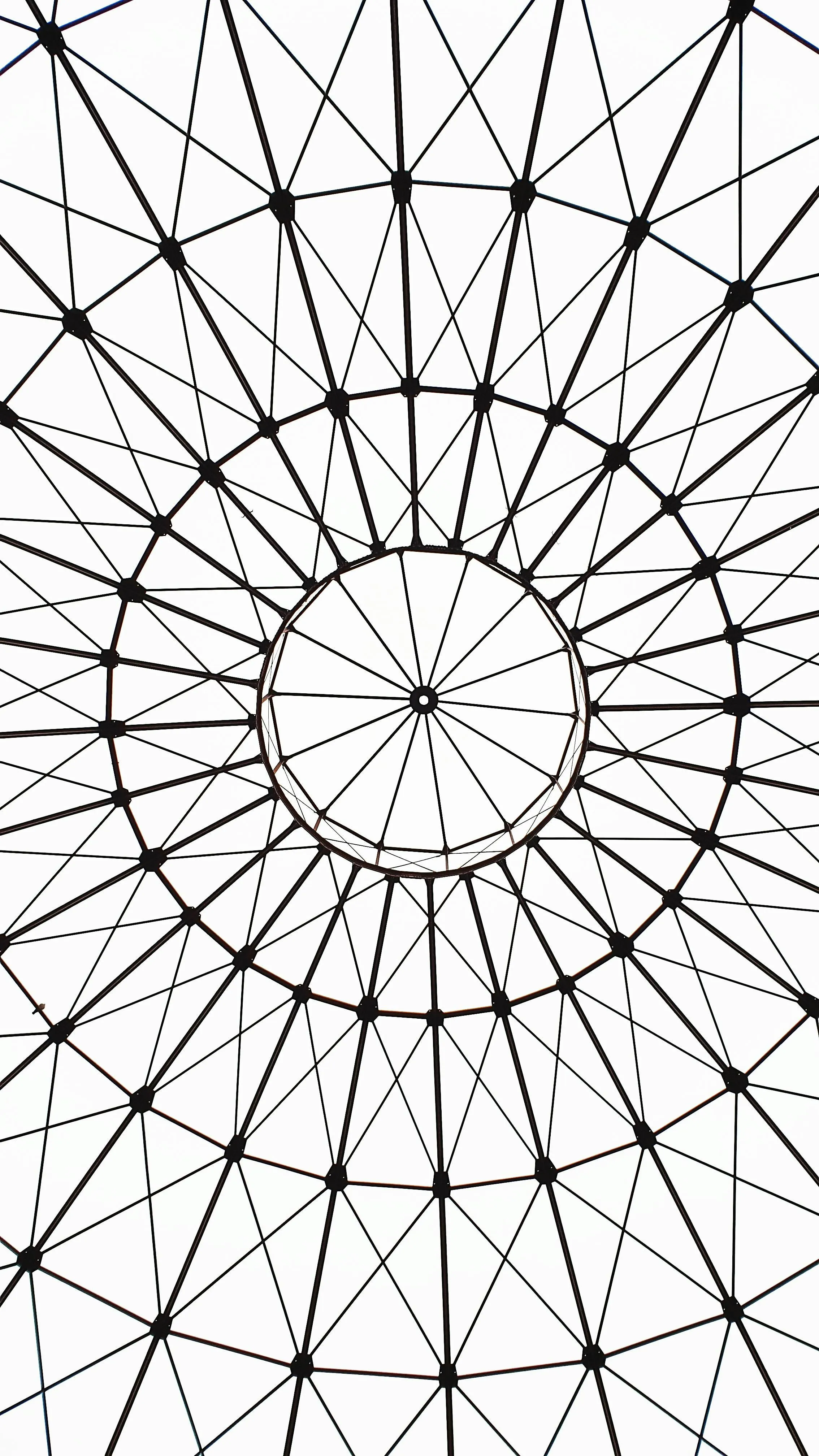 Black geometric lines forming a radial pattern on white