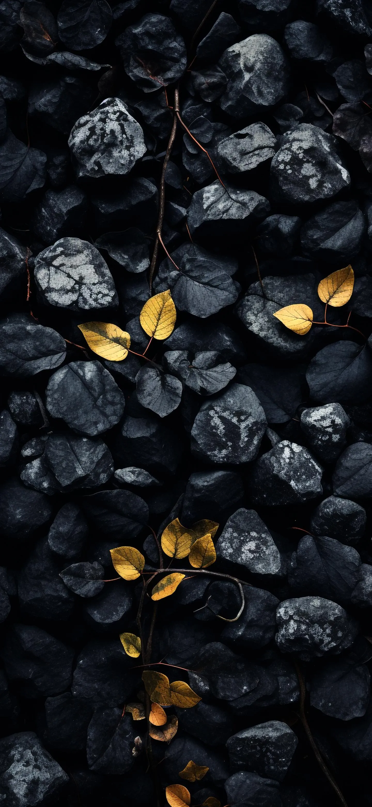 Black rocks with golden leaves scattered on top Wallpaper