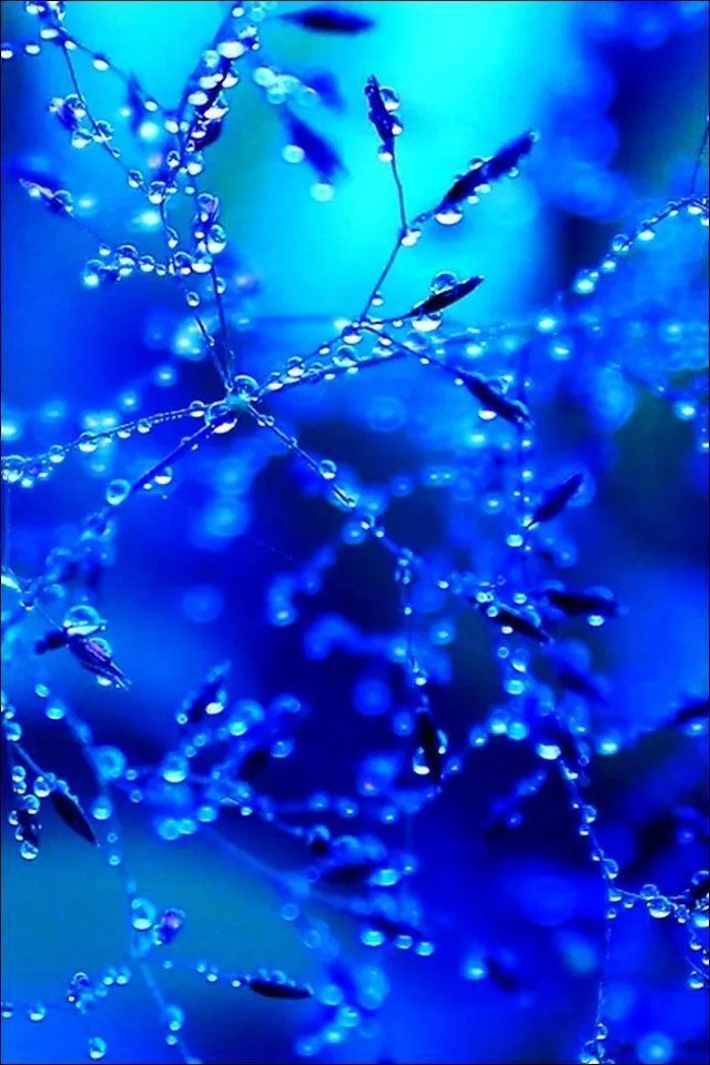 Blue frozen ice branches with a glowing frosty light effect