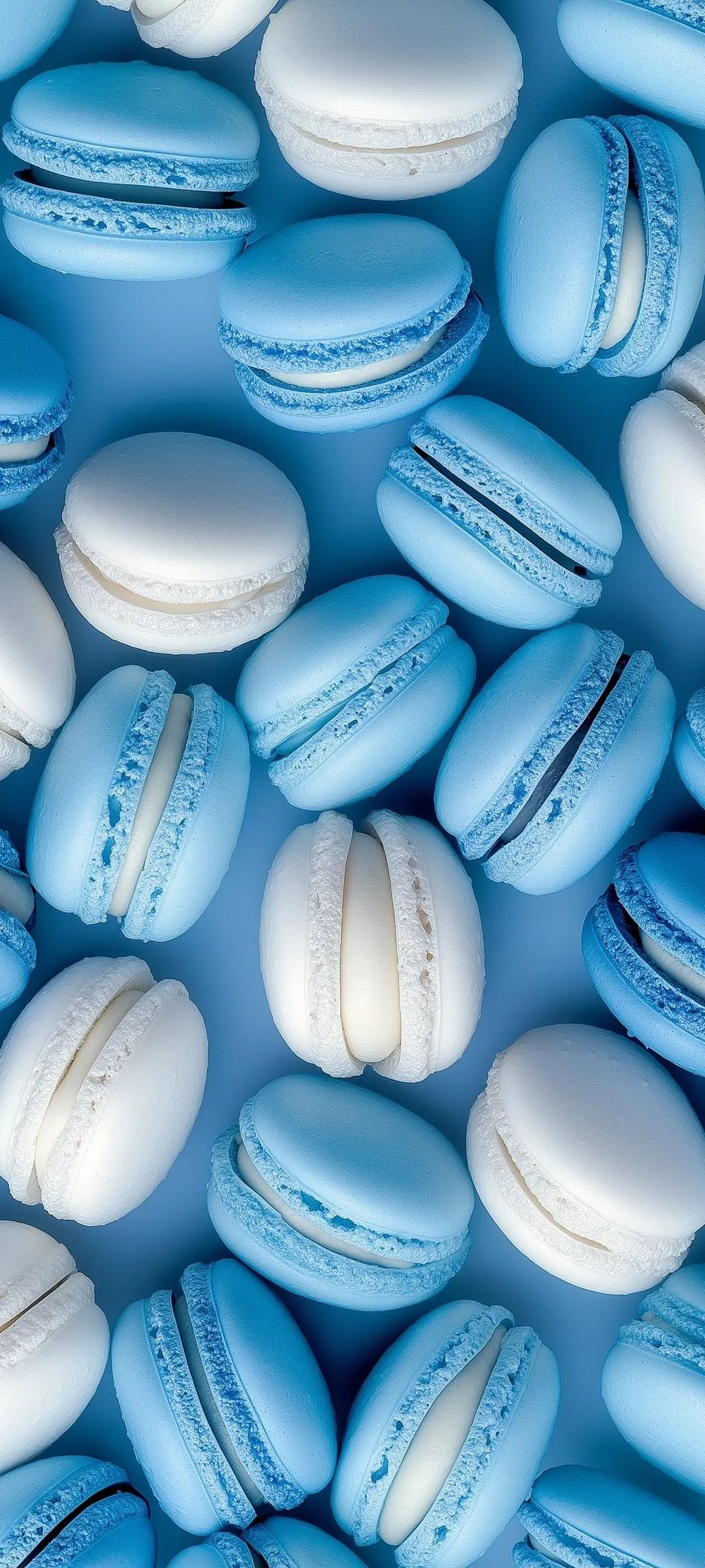 Blue Macaron Cookies Arranged in Decorative Style Wallpaper