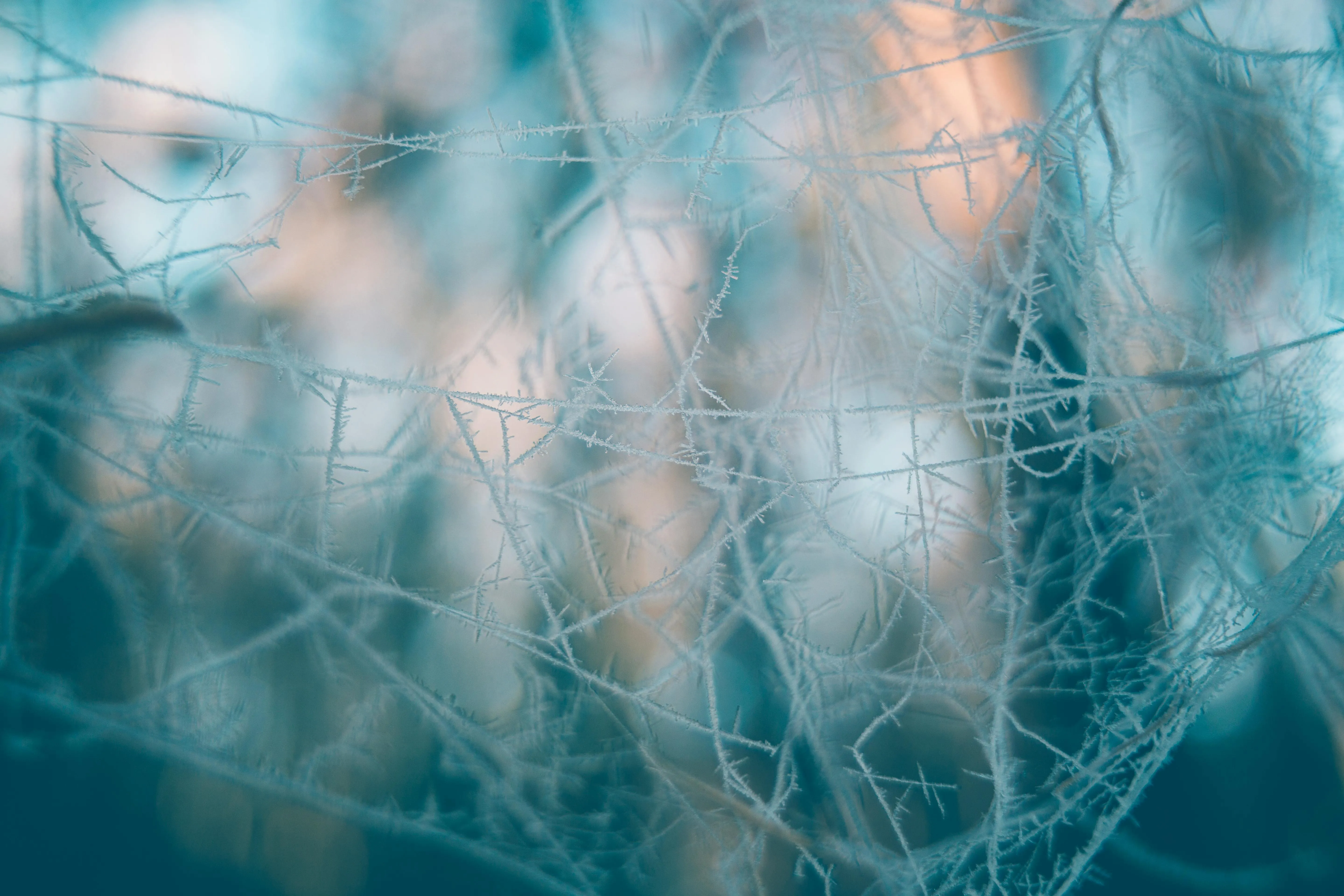 Blurred teal decorative fibers in a soft focus Wallpaper