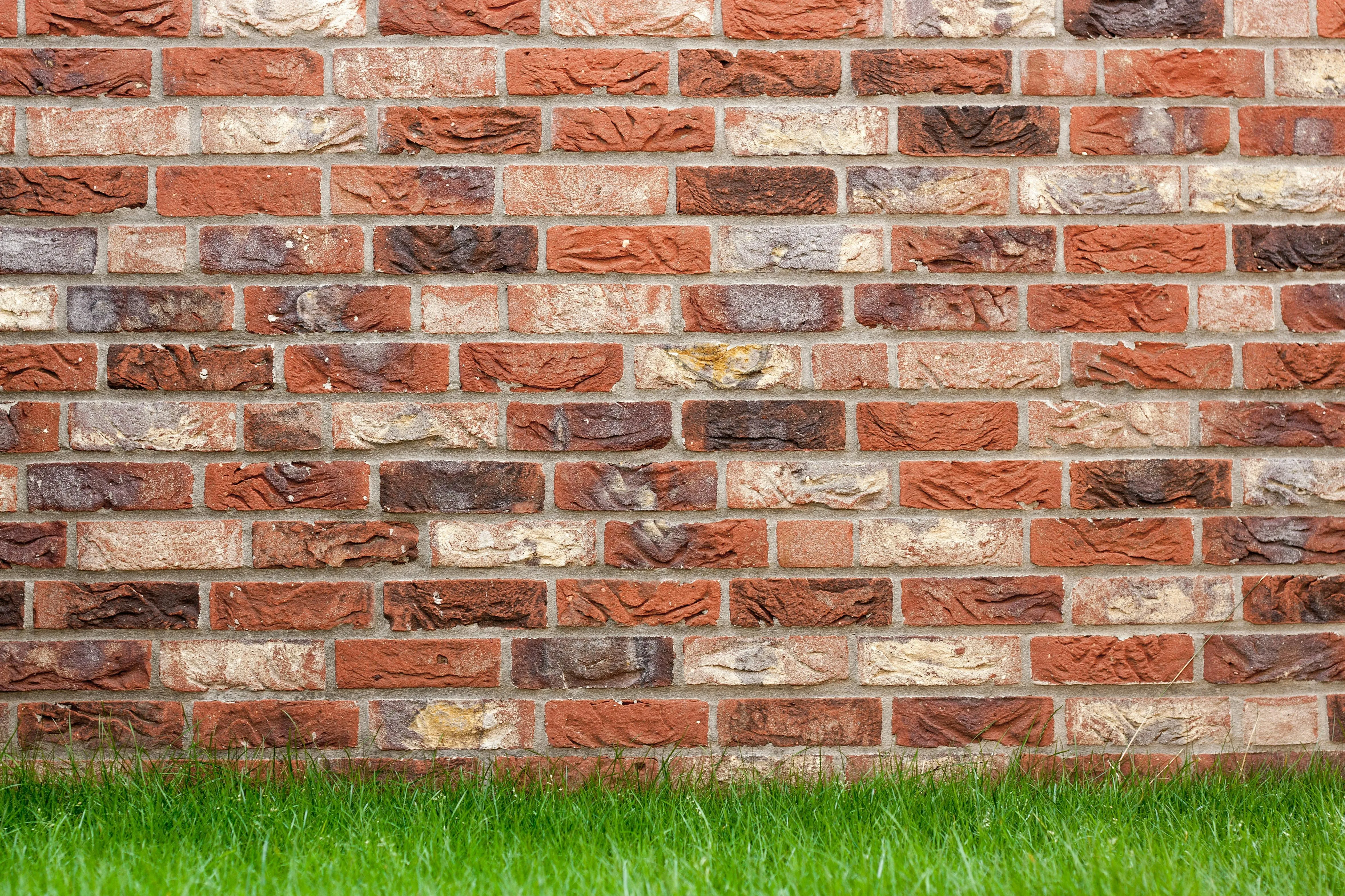 Brick wall with green grass base Background free Wallpaper