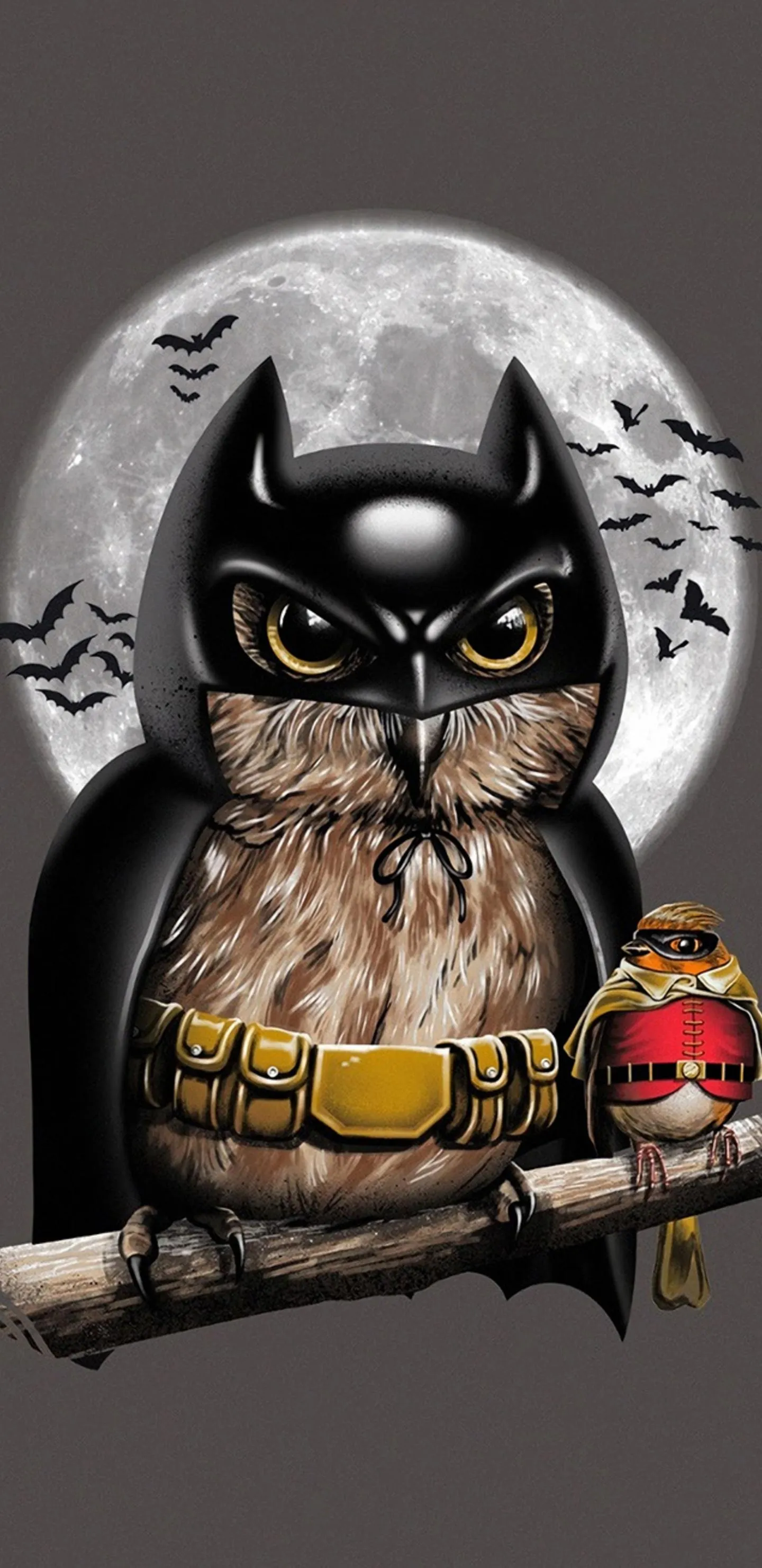 Cartoon owl and bird dressed as superheroes HD Wallpaper