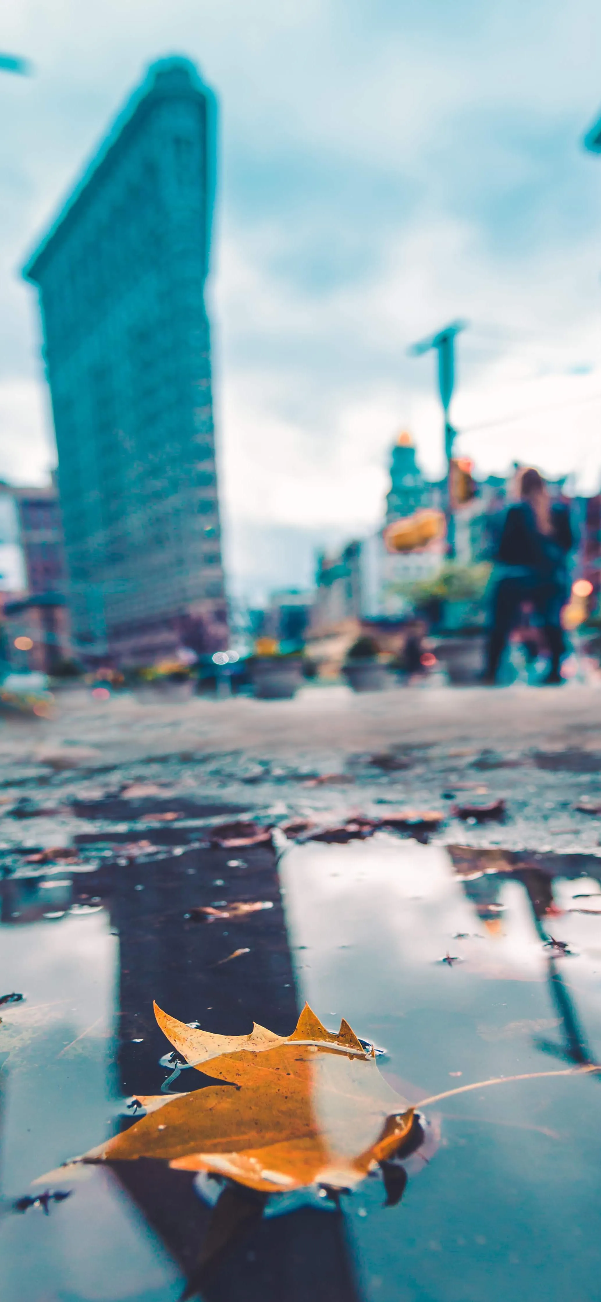 City Reflections with Origami Boat Floating in Puddle