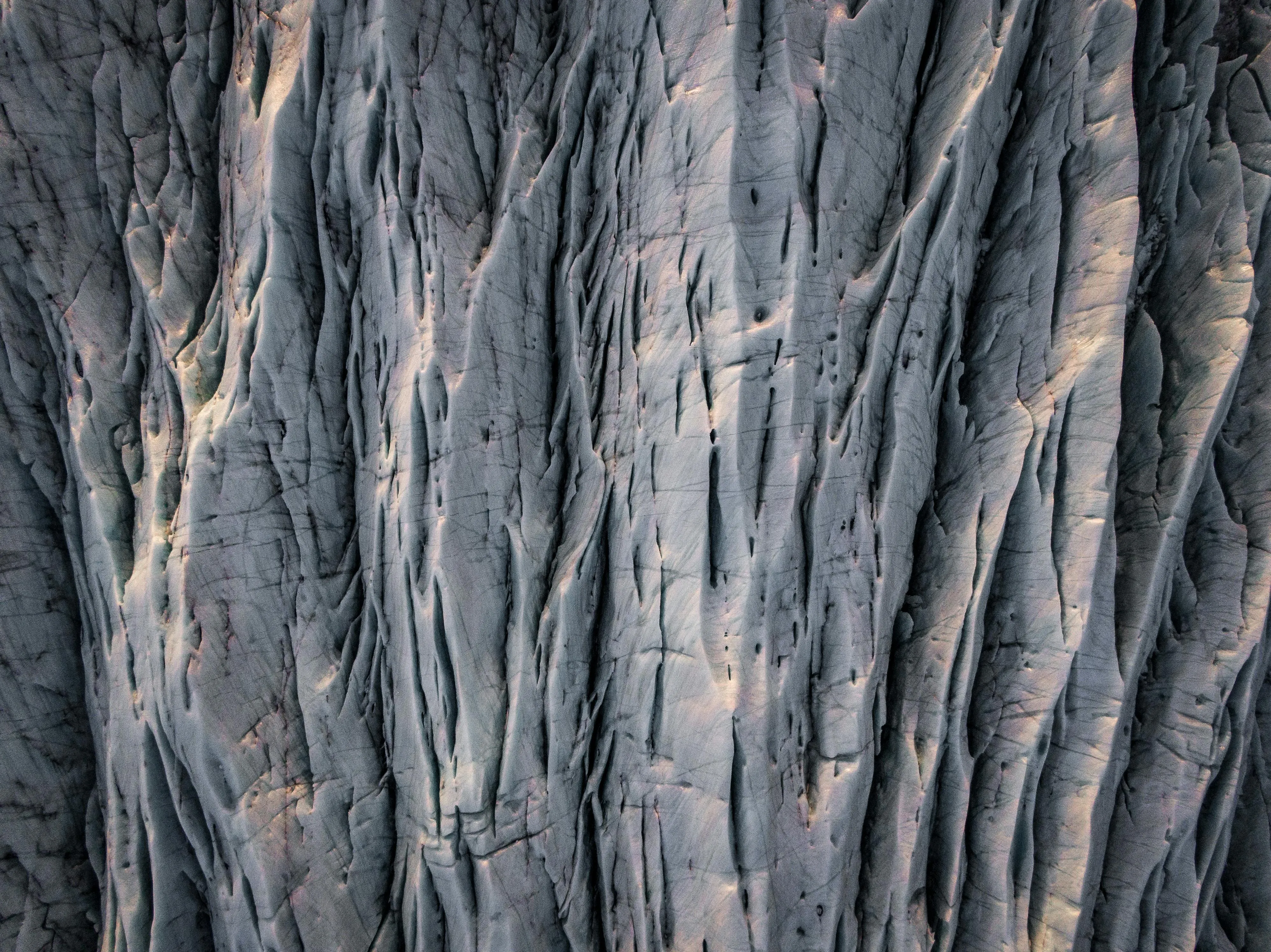 Close up of detailed bark texture on an old tree trunk image