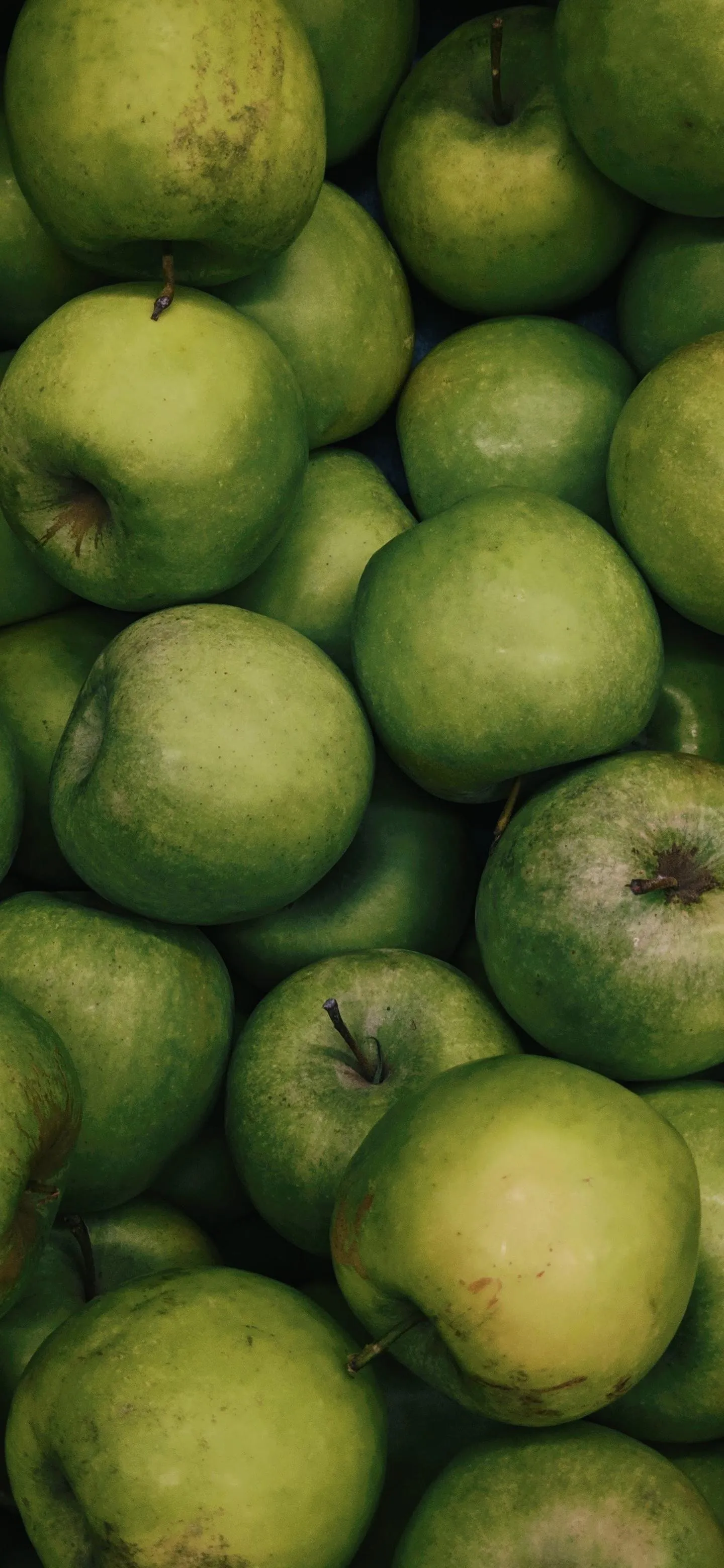 Close up of green apples in soft natural light setting