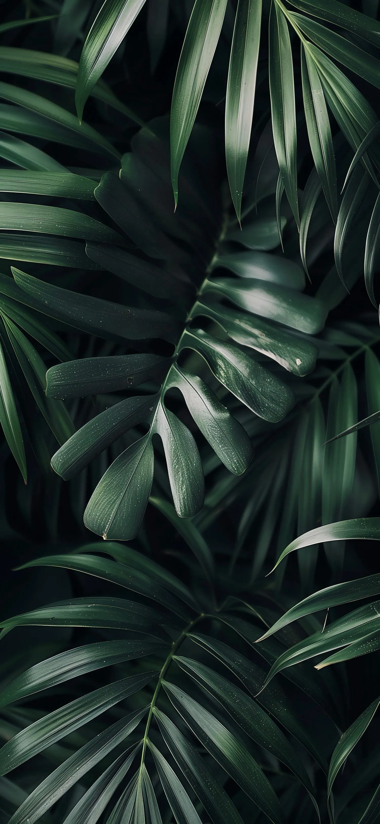 Close up of lush green tropical leaves texture Wallpaper