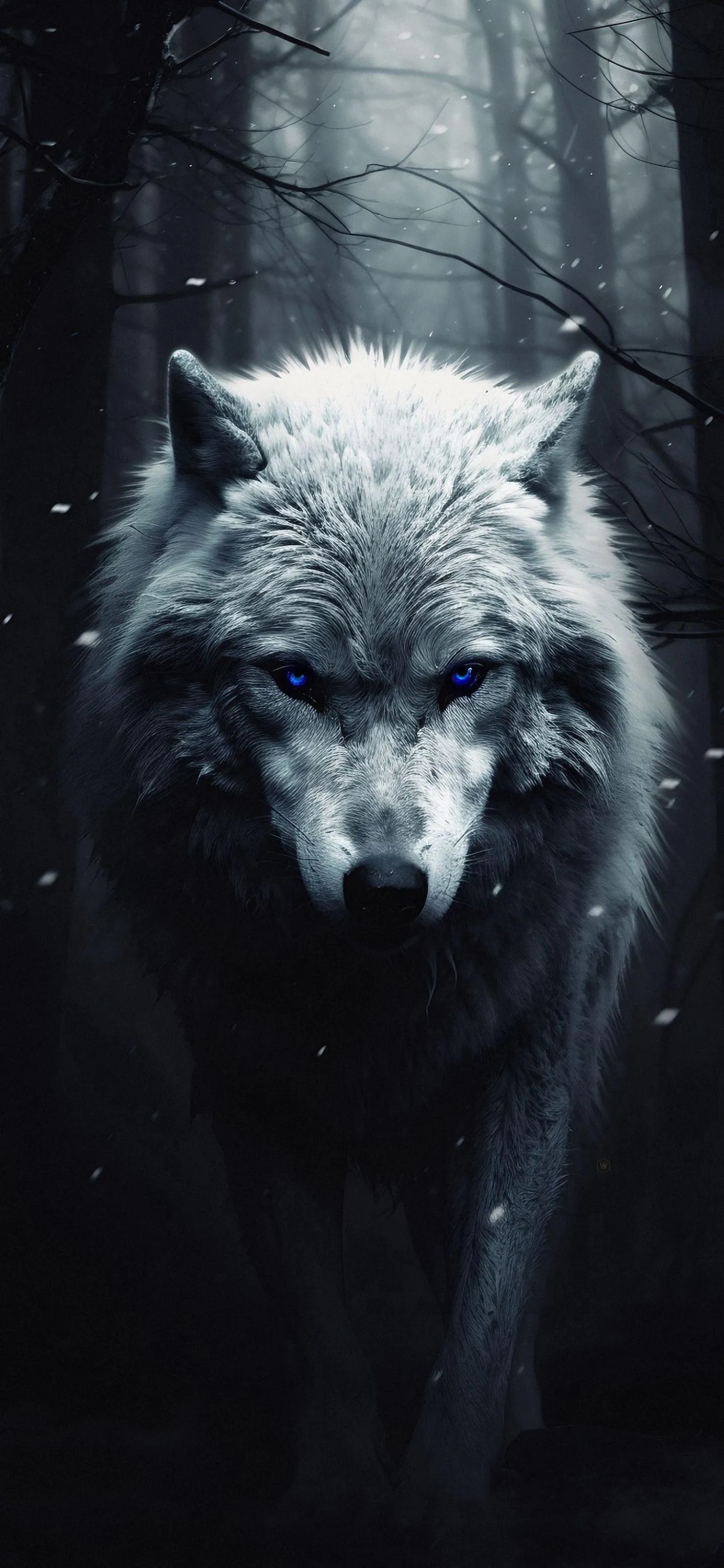 Close Up of White Wolf with Intense Eyes in Dark Forest