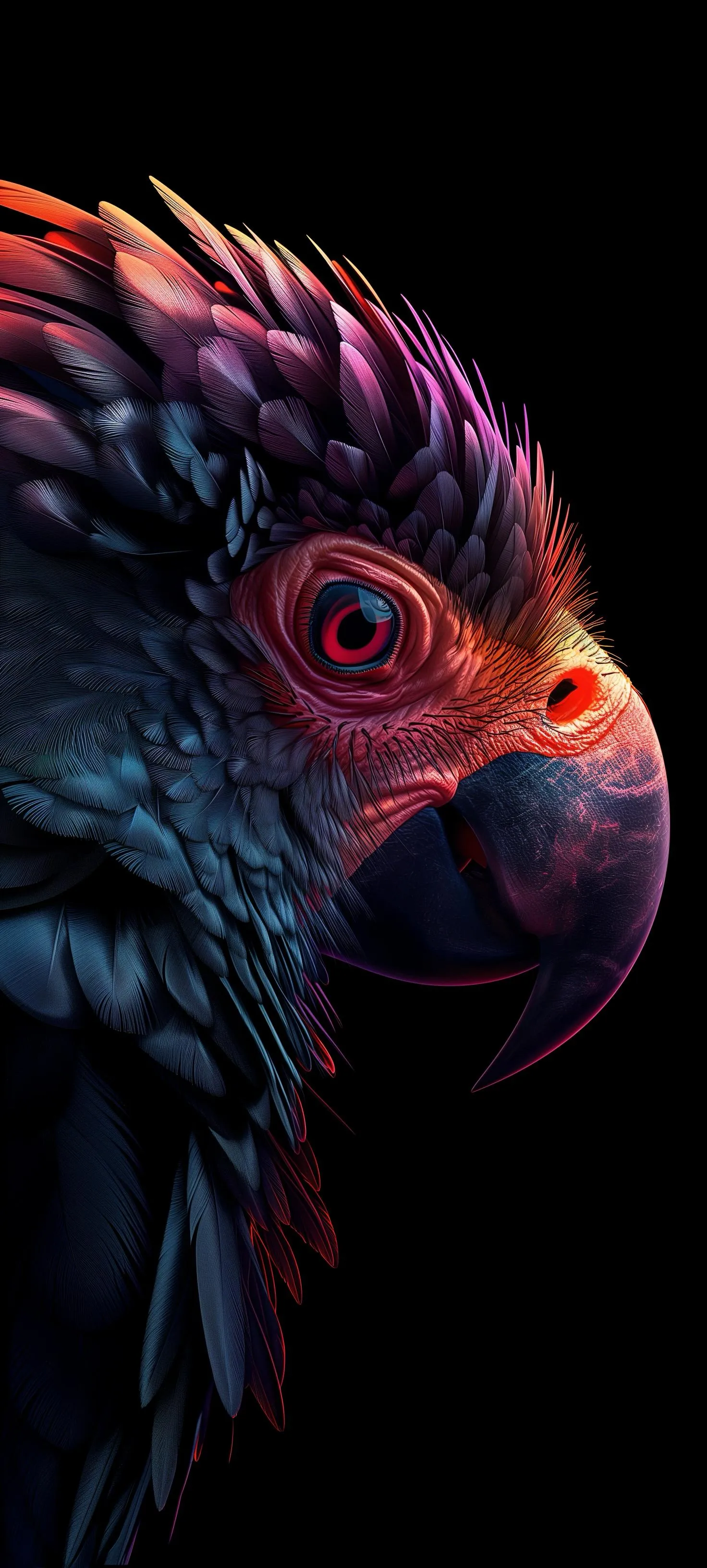 Closeup of parrot Head with Fierce Red and Black Contrast