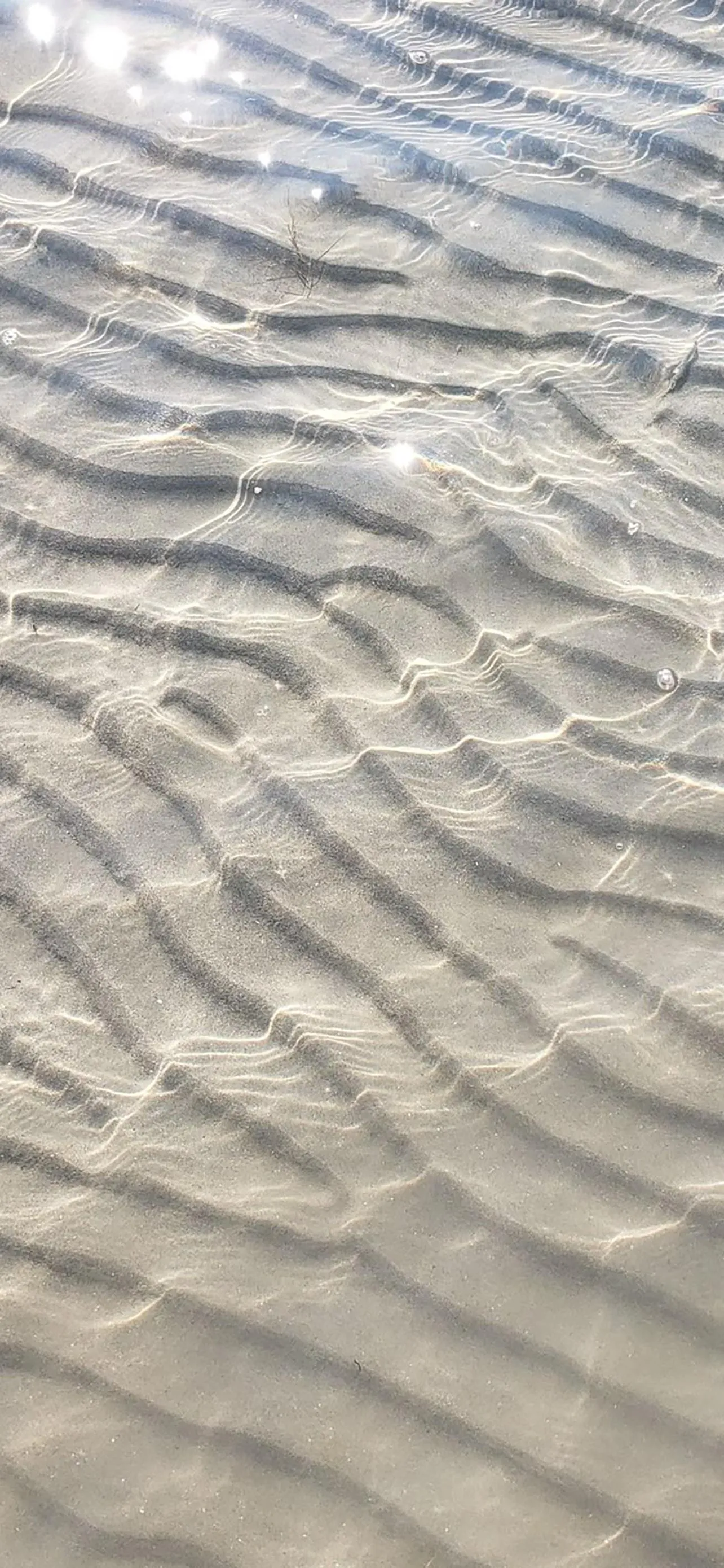 Closeup of Sand Ripples Pattern on Beach Shore Wallpaper