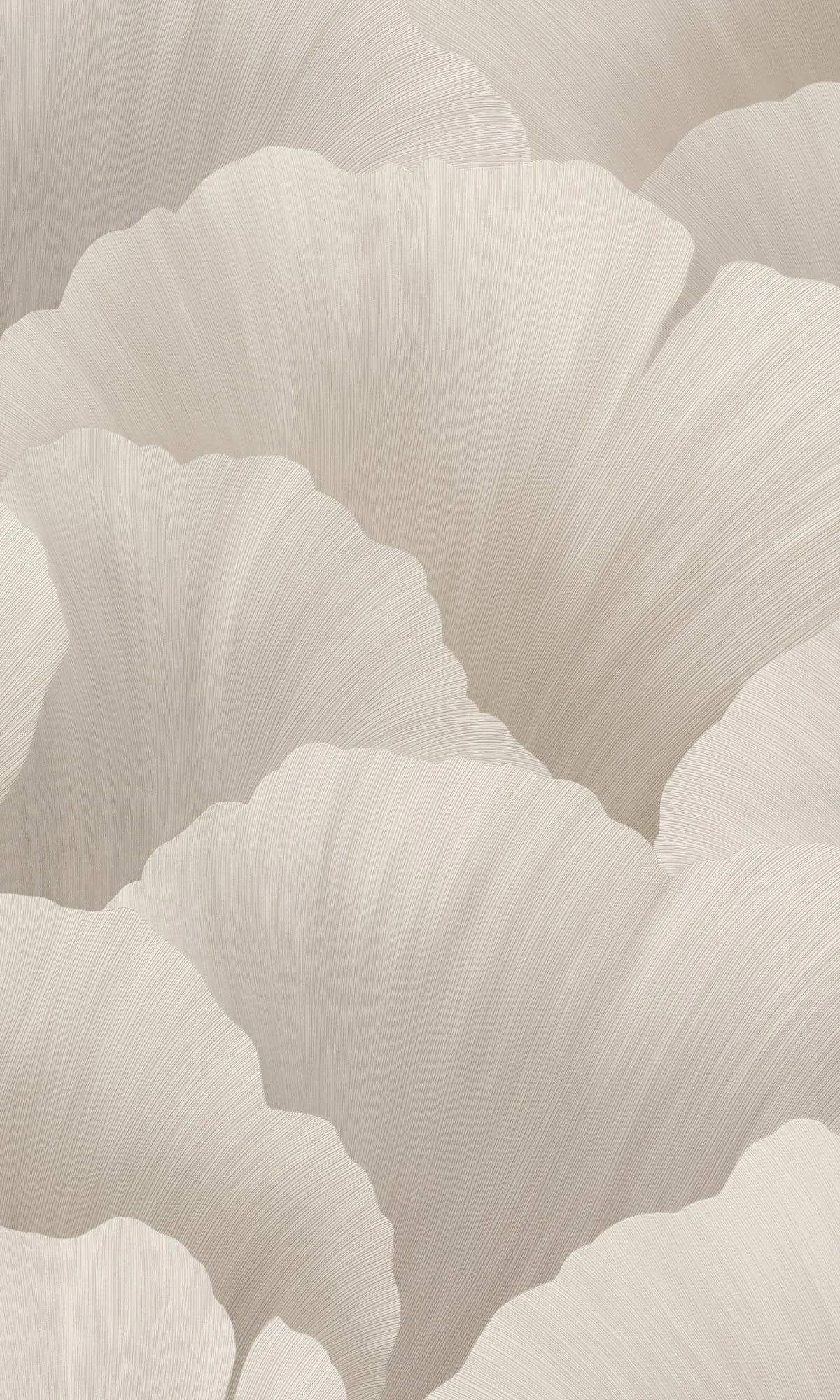 Closeup of soft white flower petals with gentle texture