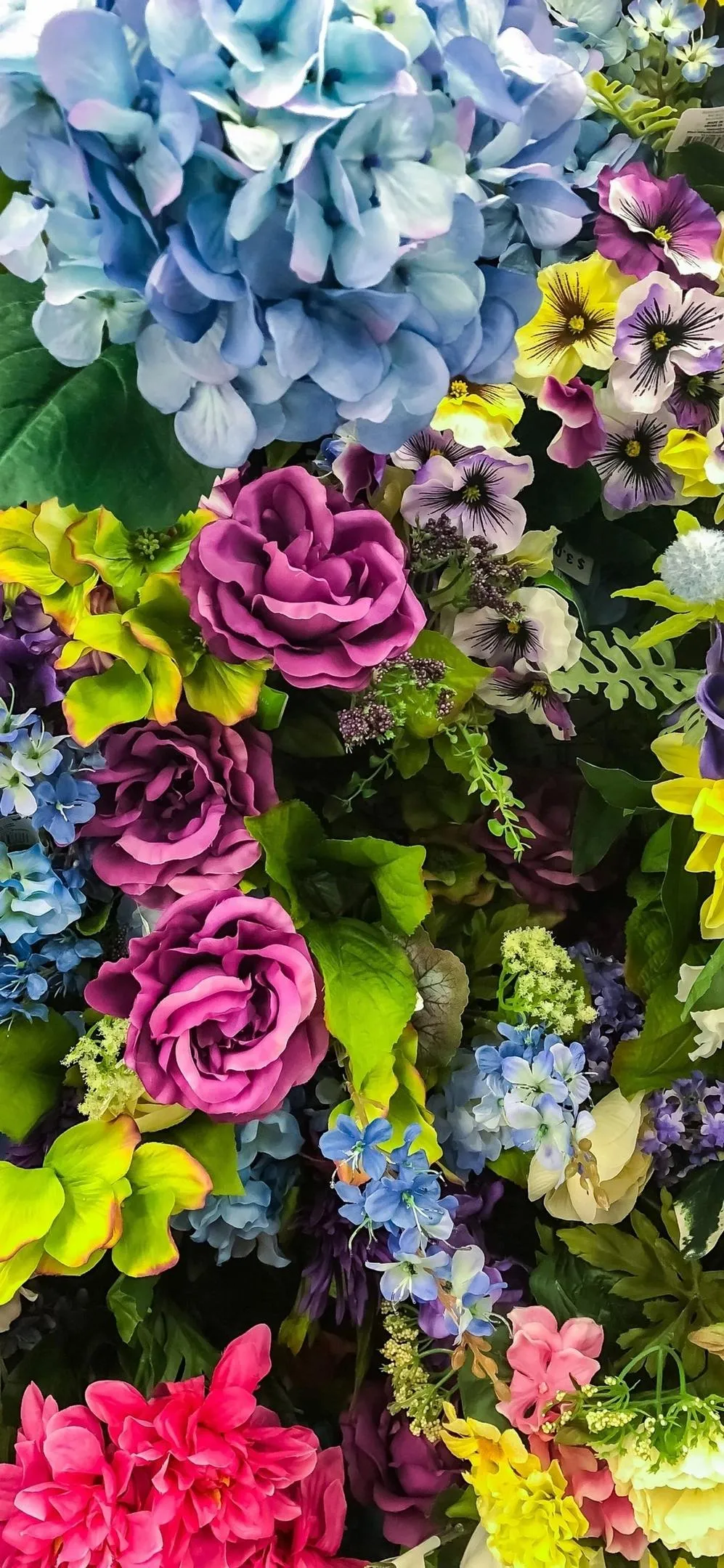 Colorful Flower Garden in Full Bloom under Bright Sunlight