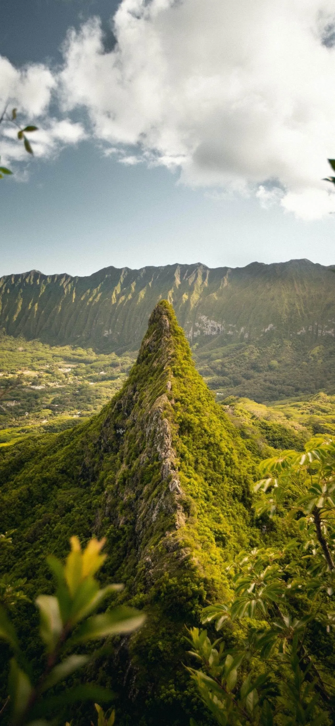 Country Path Through Sunny Green Hills and Clear Skies