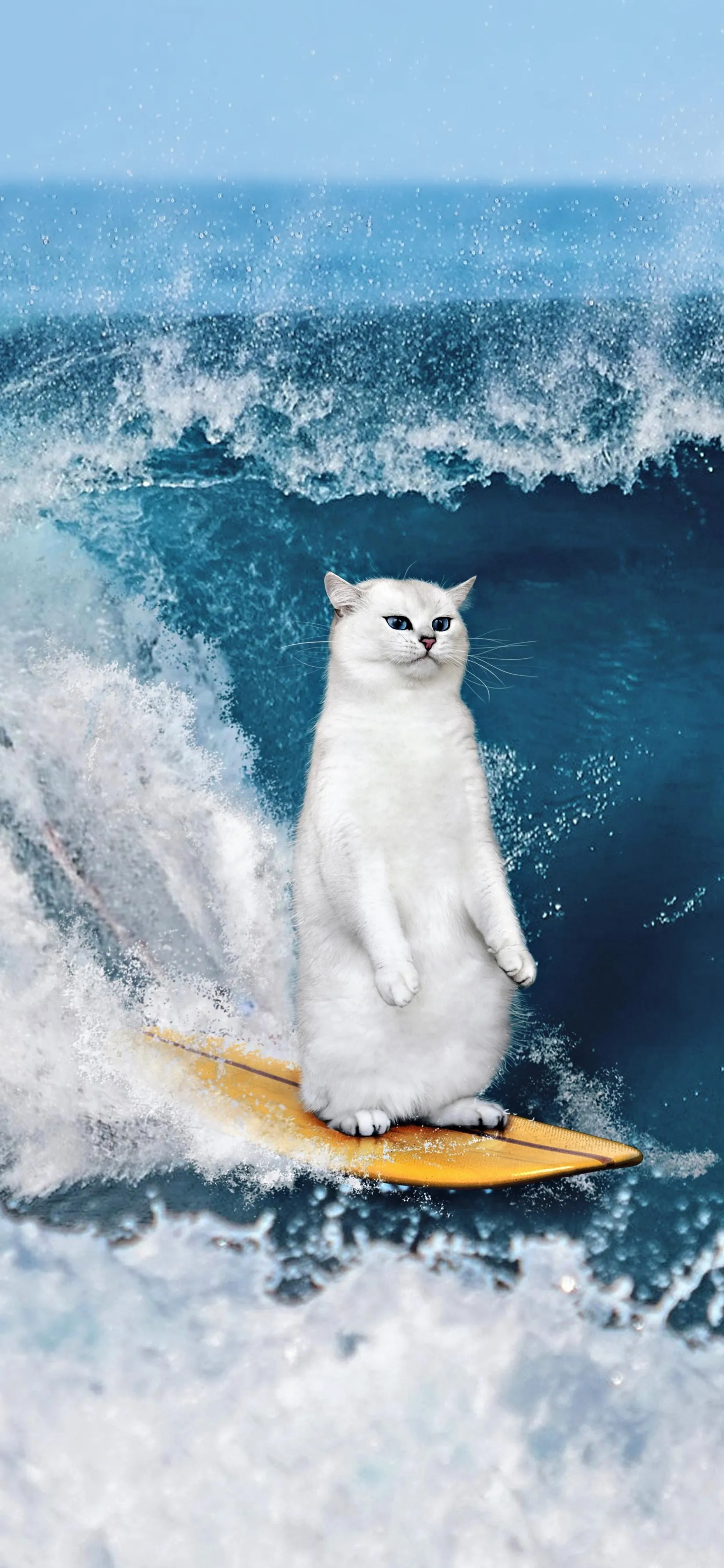 Cute act Surfing on Wave in Icy Arctic Scene free 4K image