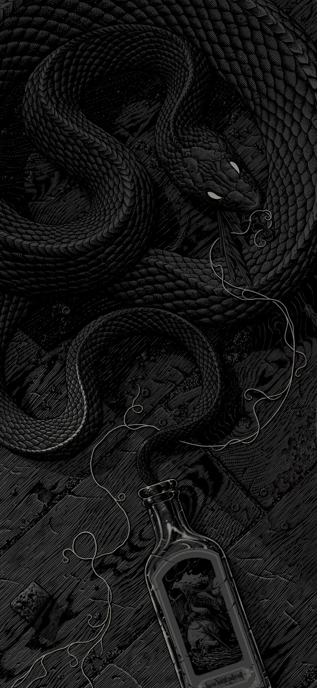 Dark Artistic Illustration of Snake and Bottle Wallpaper