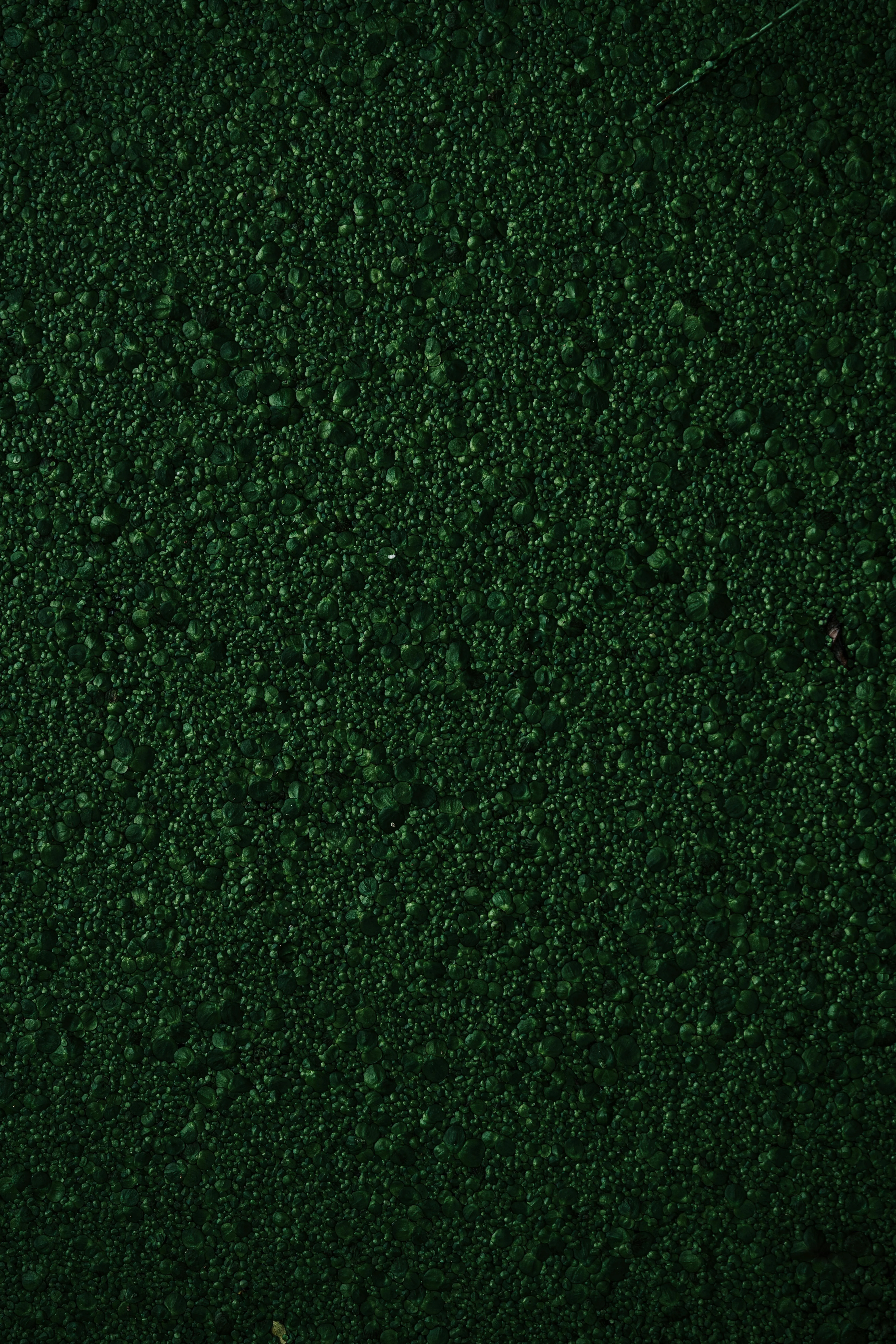 Dark green textured surface with minimal lighting effect