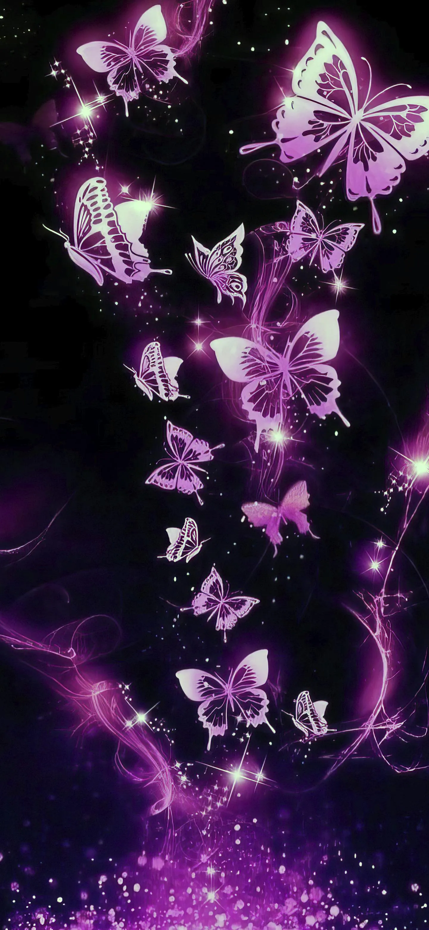Delicate purple flowers blooming in dark background