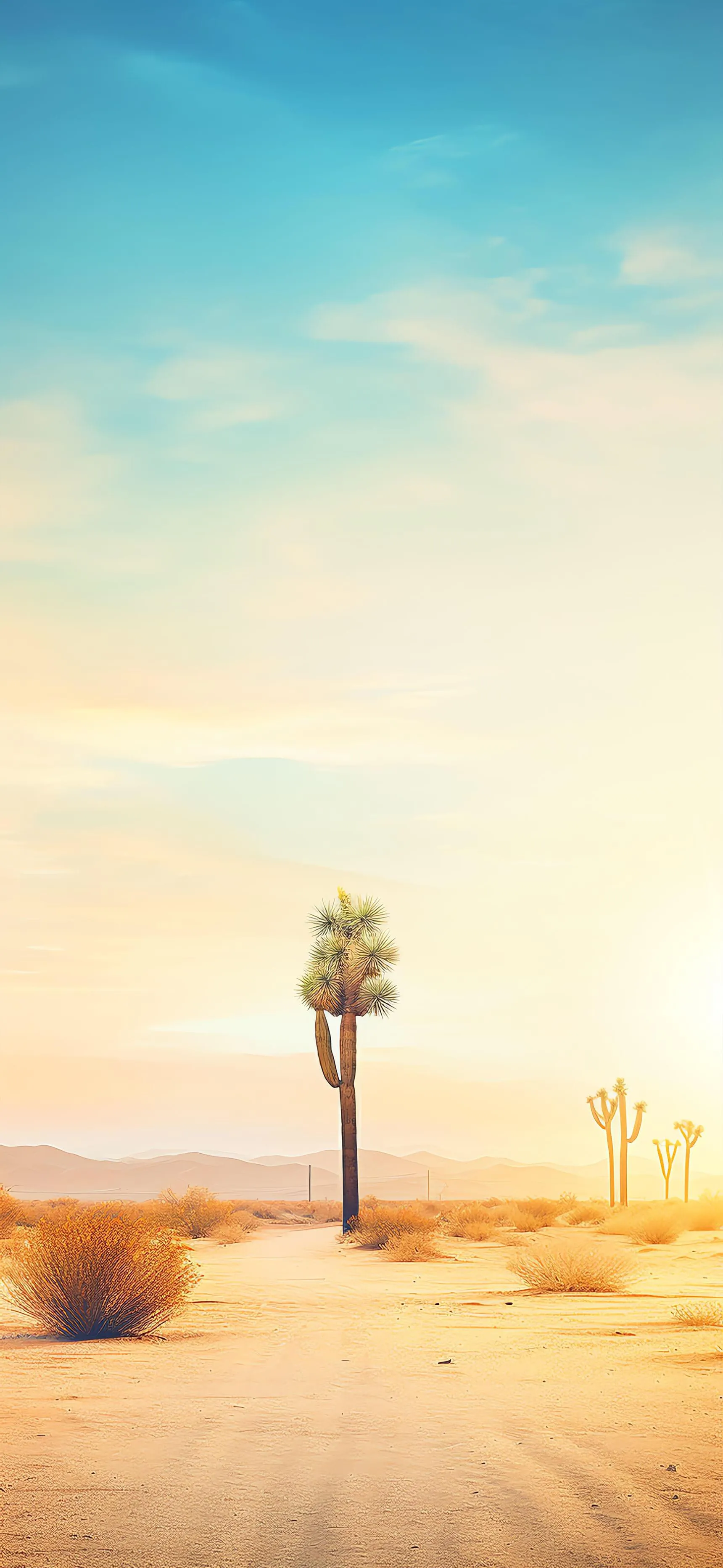 Desert landscape with Joshua trees under clear sky image