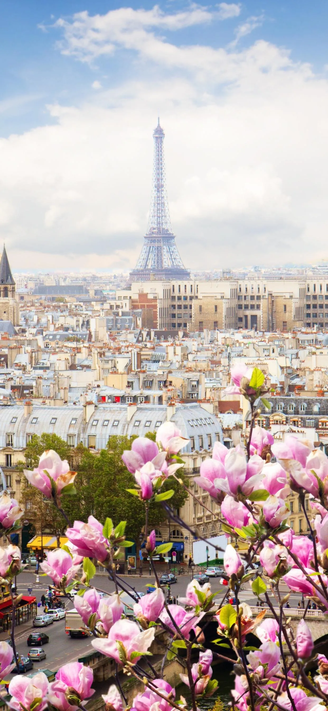 Eiffel Tower in Blooming Garden with Clear Blue Sky