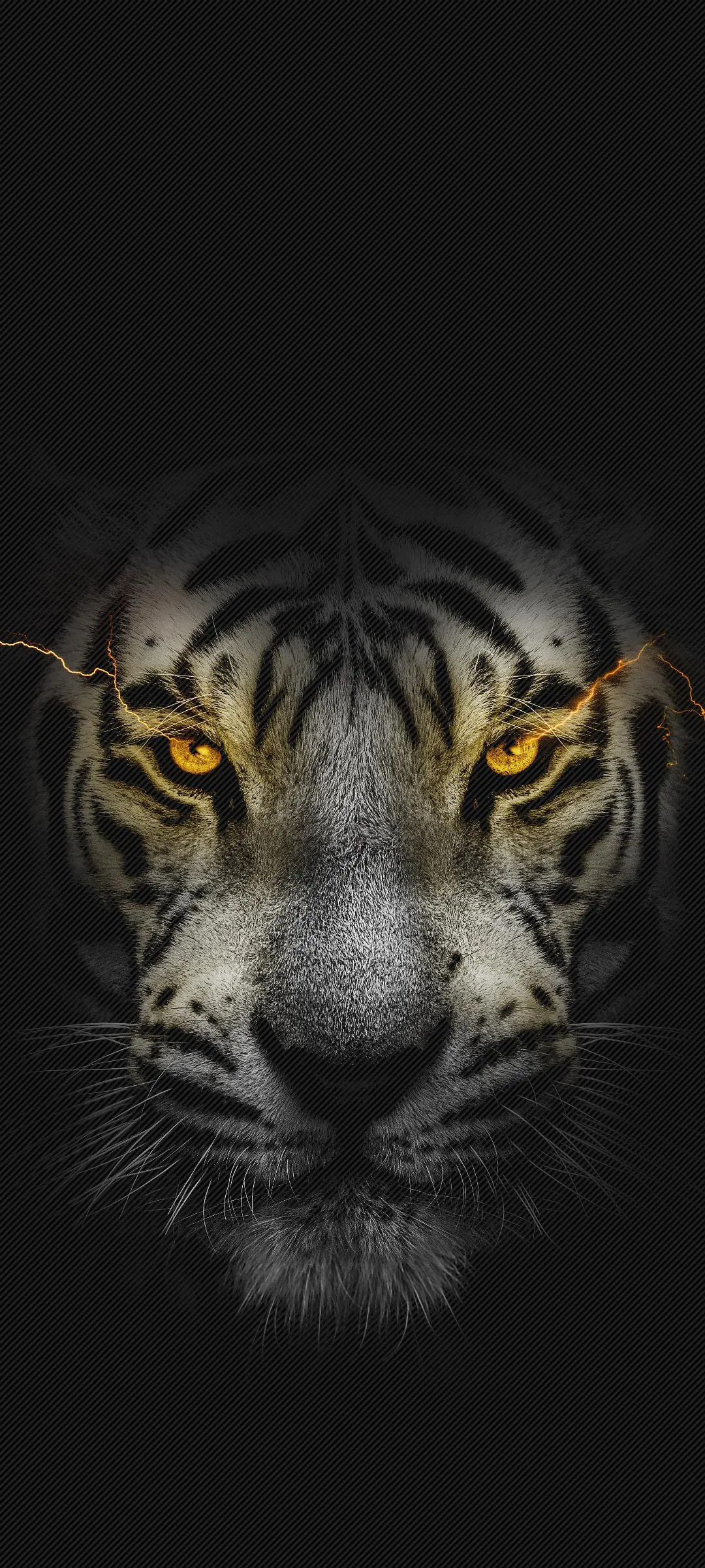 Fierce Tiger Face Emerging from Total Darkness Wallpaper