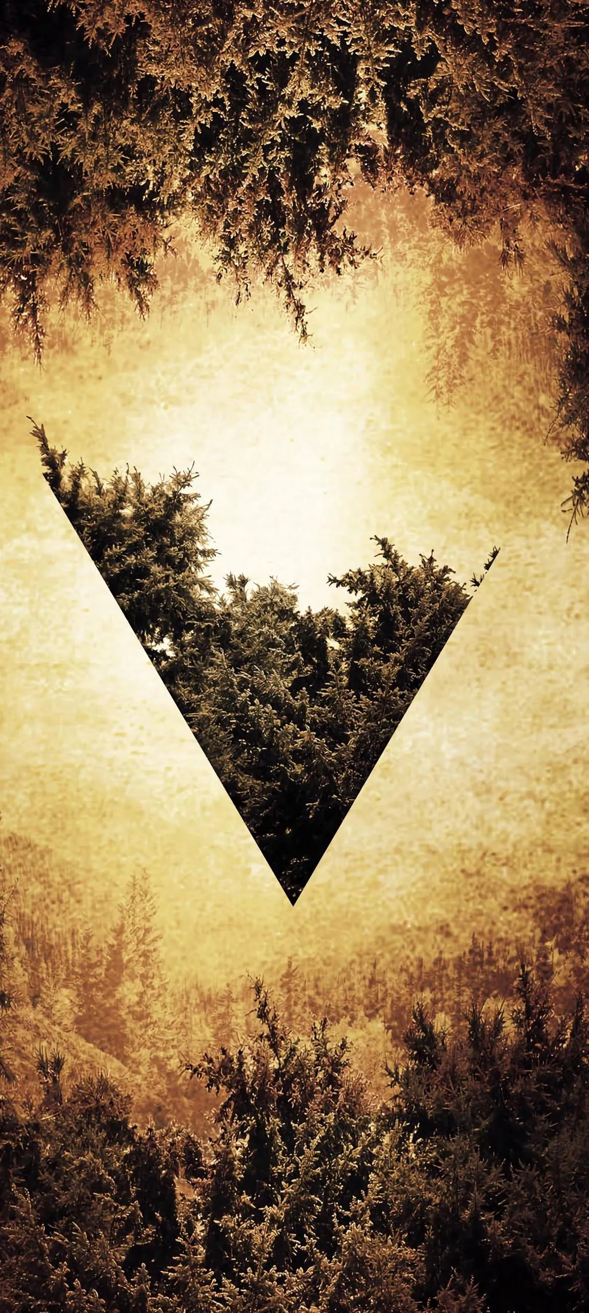 Floating Triangle Over Forest Path Scene Wallpaper HD