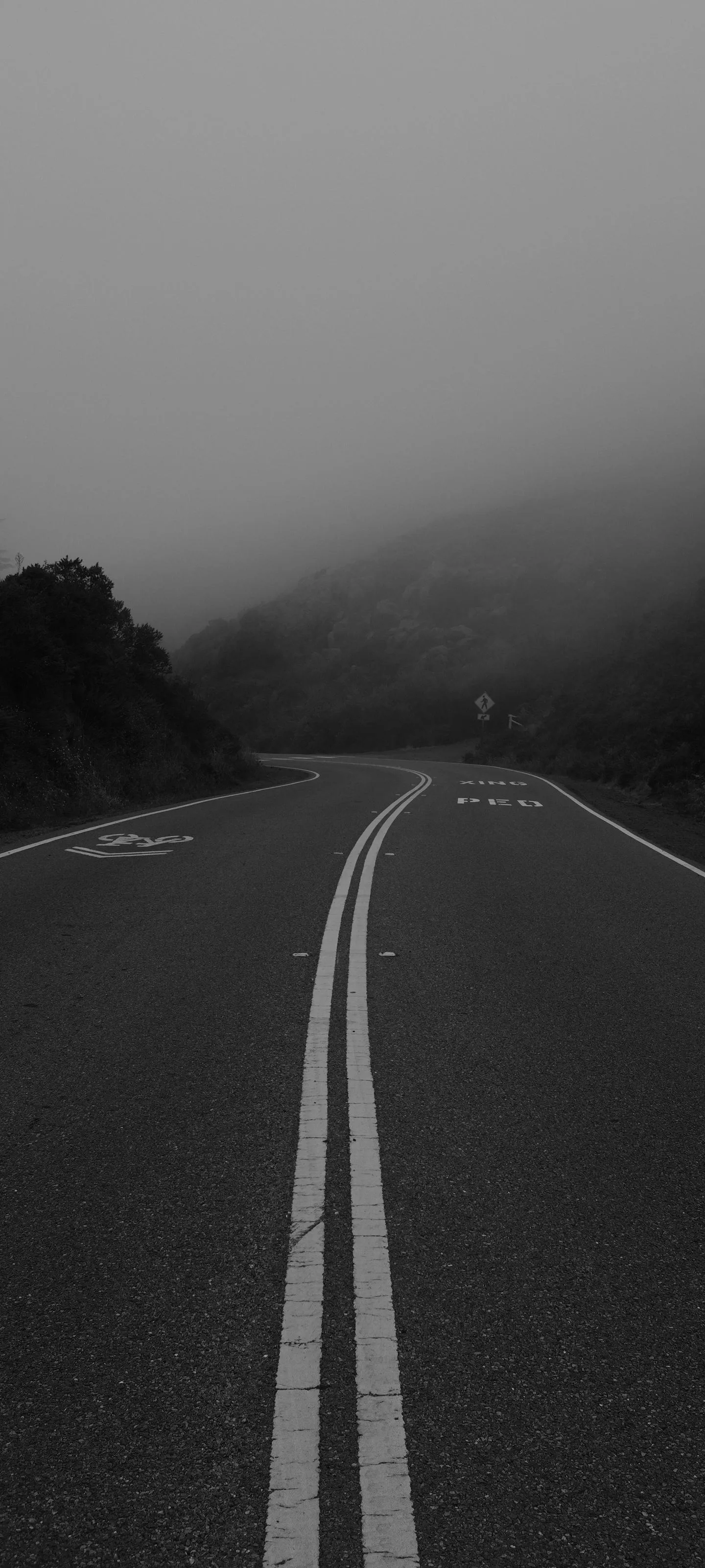 Foggy Road Vanishing into the Misty Landscape Wallpaper