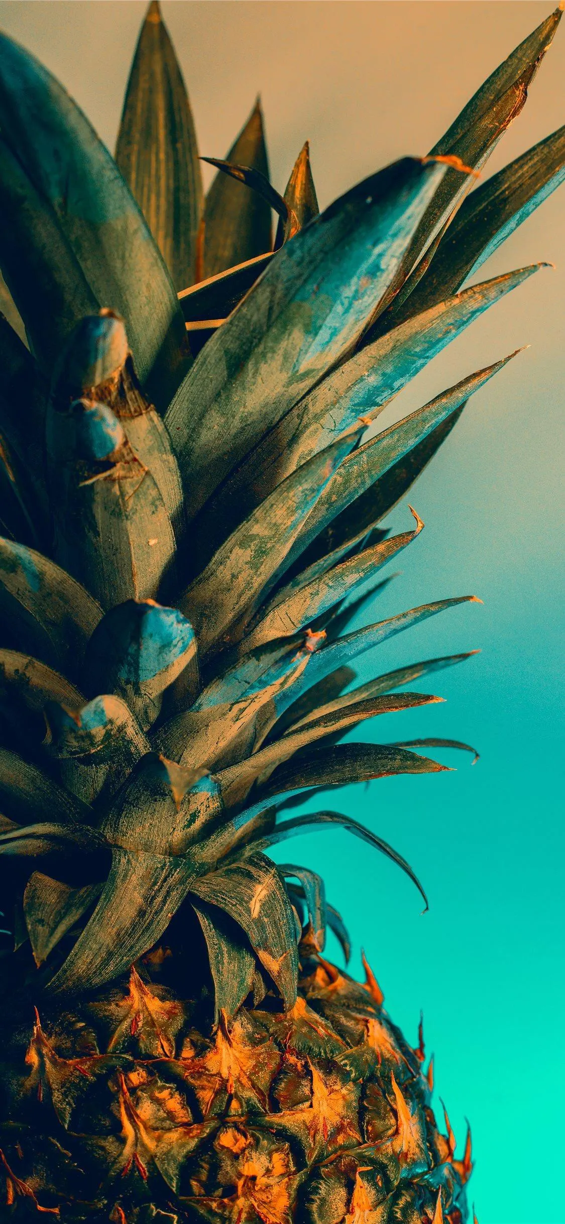 Fresh Pineapple Closeup Mobile Wallpaper in HD image