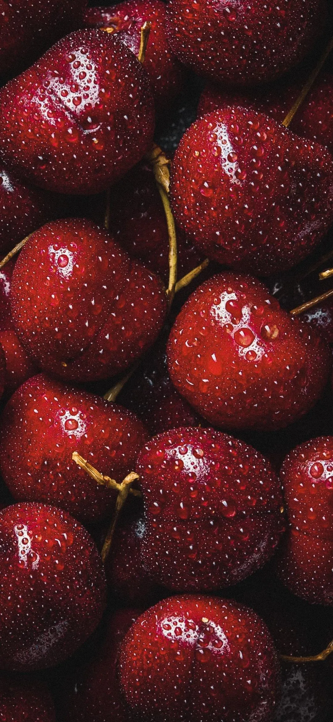 Fresh Red Apples in Basket with Deep Rich Color Tone