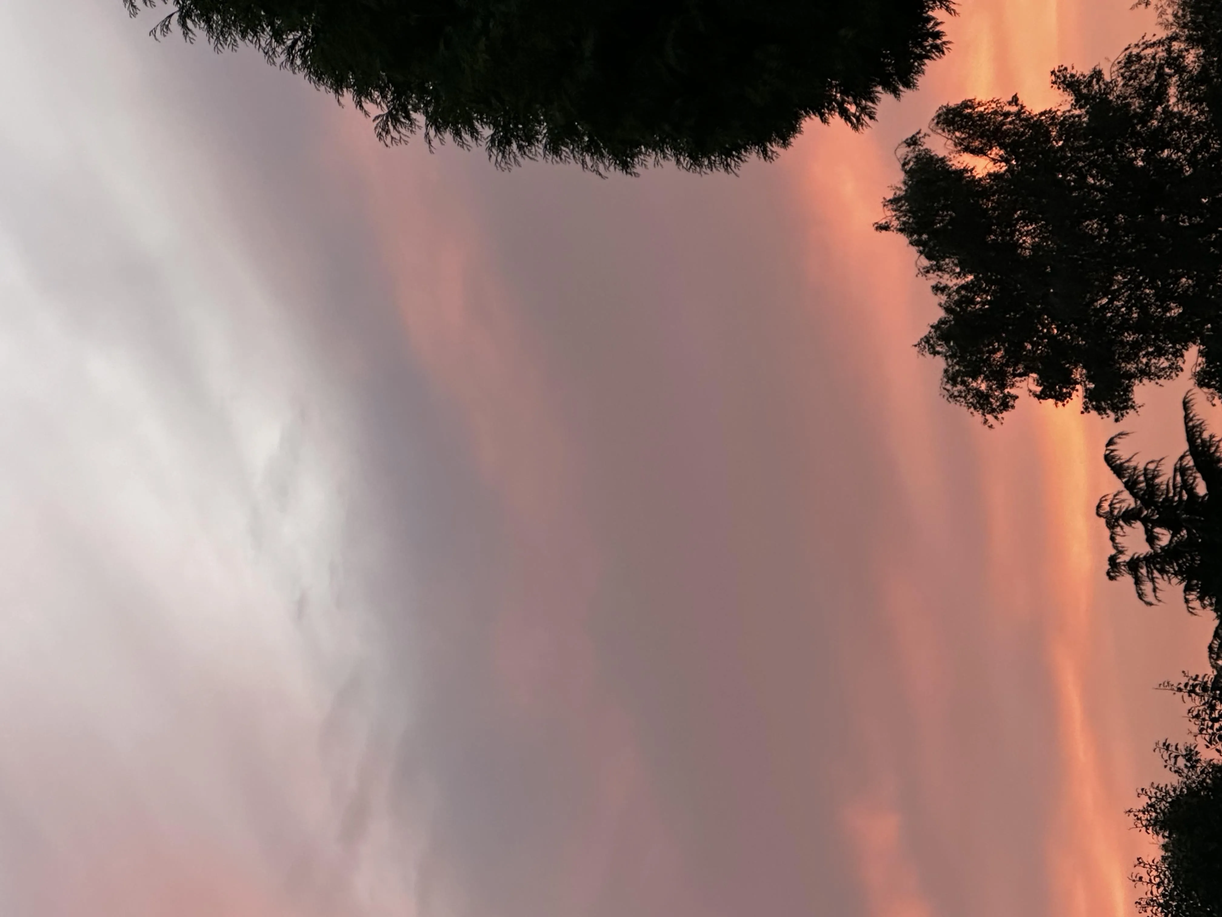 Gentle Pink Sunset with Clouds Over Quiet Suburban View