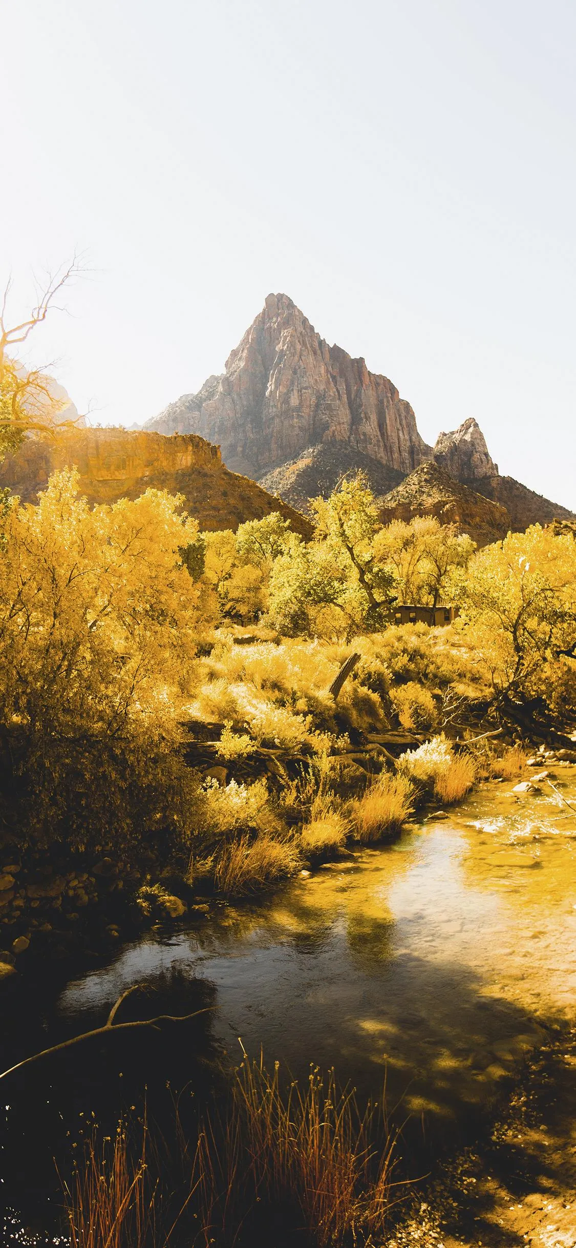 Golden Sunlight Over Rocky Mountain Scenic View Wallpaper