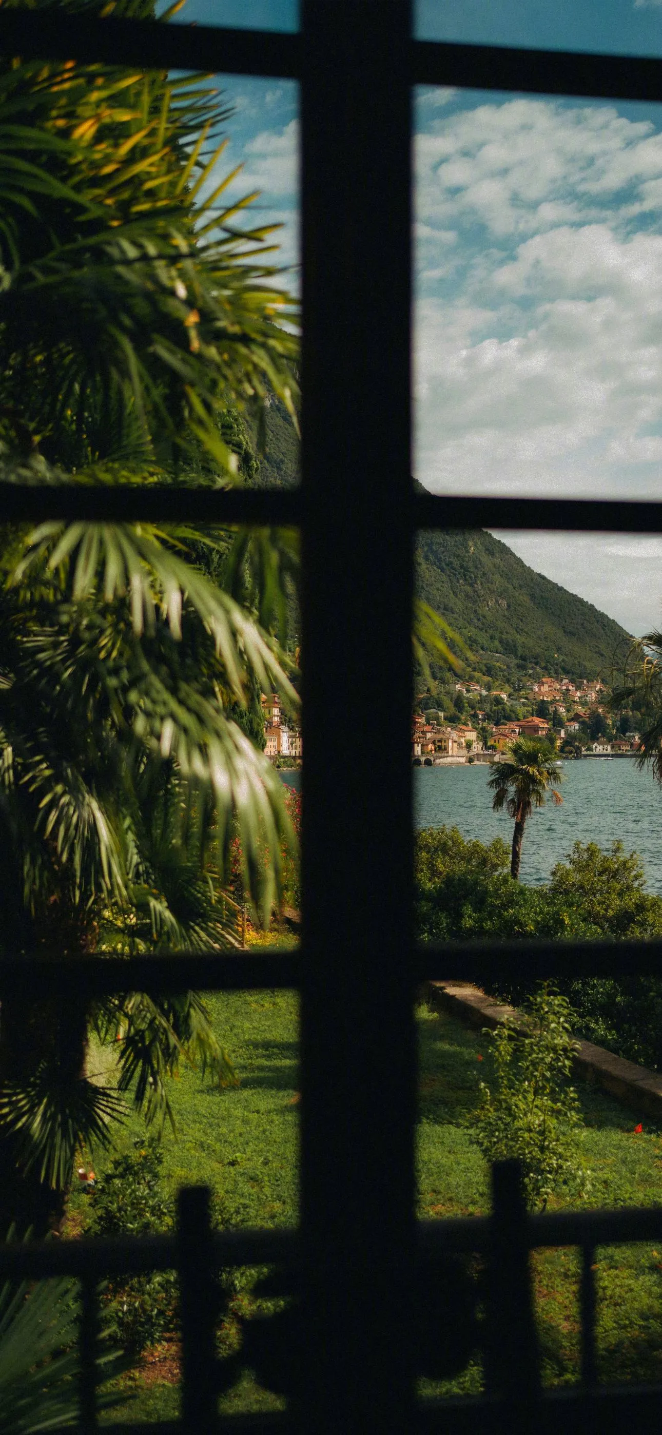 Green Window View into Tropical Forest with Warm Lighting