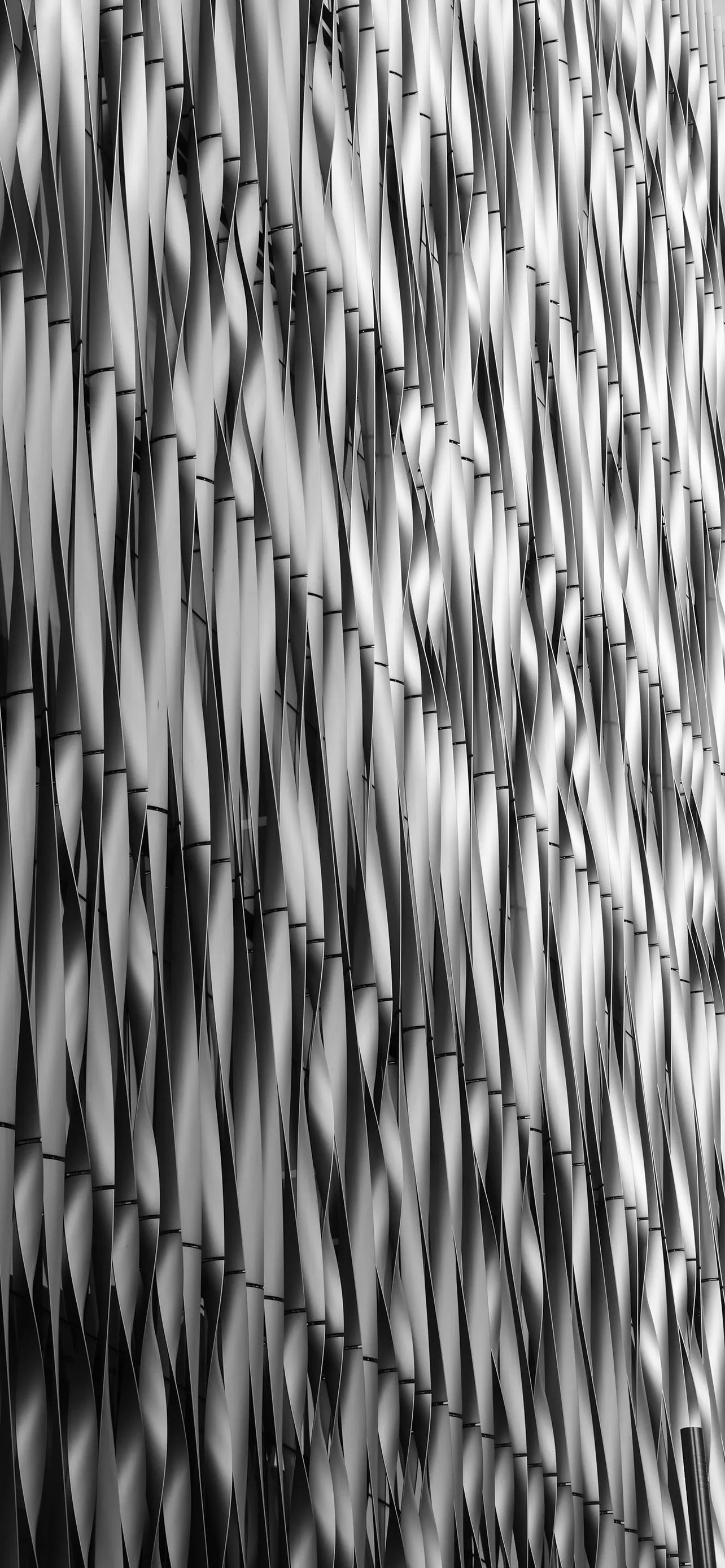 Hypnotic Black and White Motion Pattern Optical Illusion